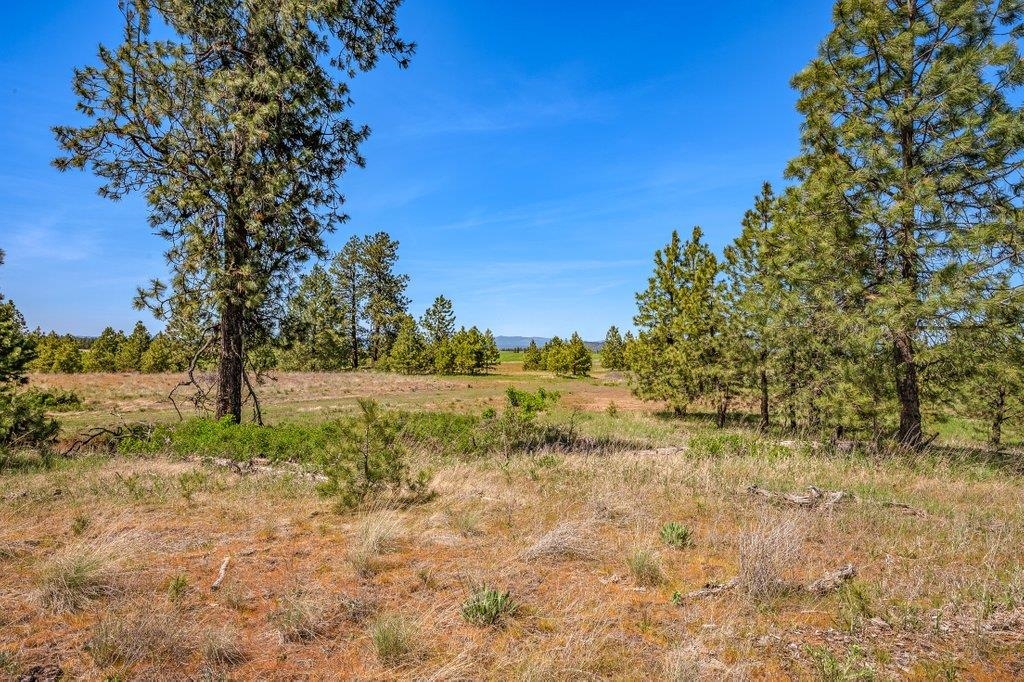 20122 W Johnson Ln - Photo 16