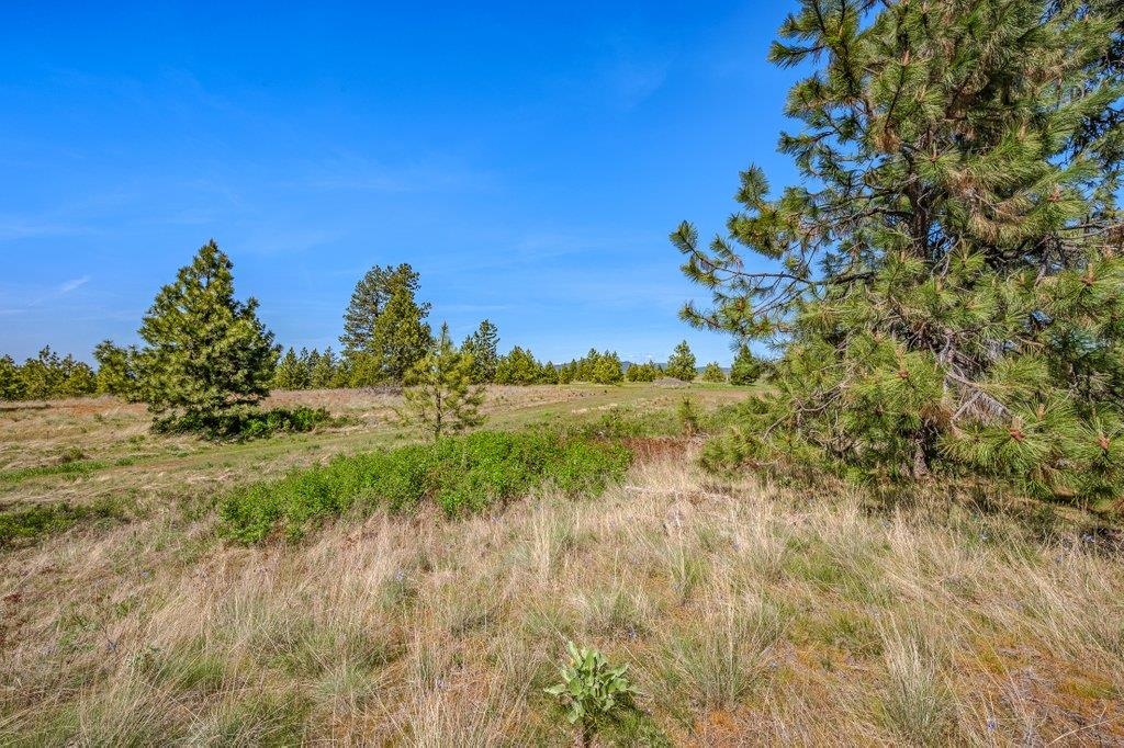 20122 W Johnson Ln - Photo 17