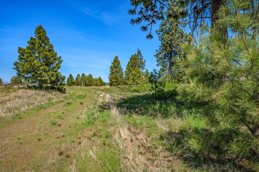 20122 W Johnson Ln - Photo 19