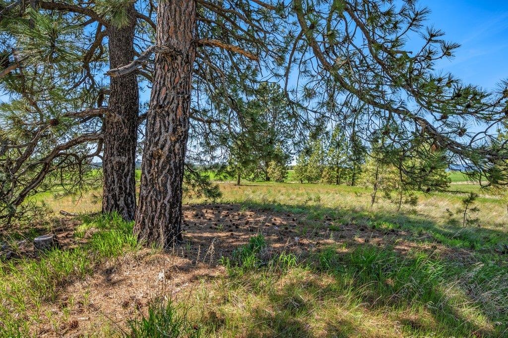 20122 W Johnson Ln - Photo 20