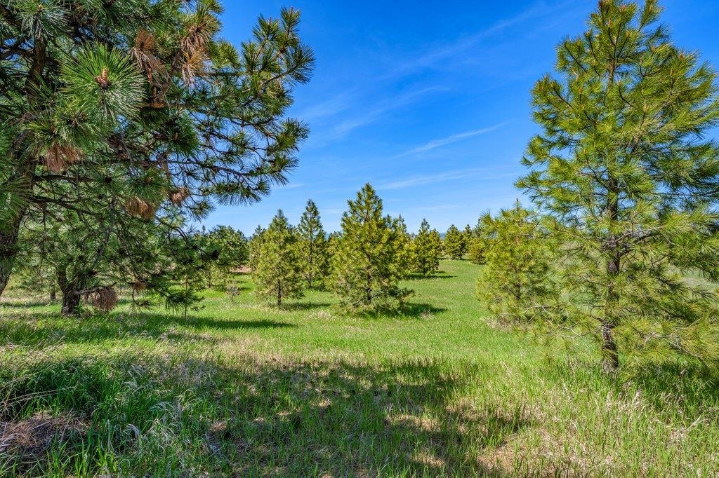 20122 W Johnson Ln - Photo 29
