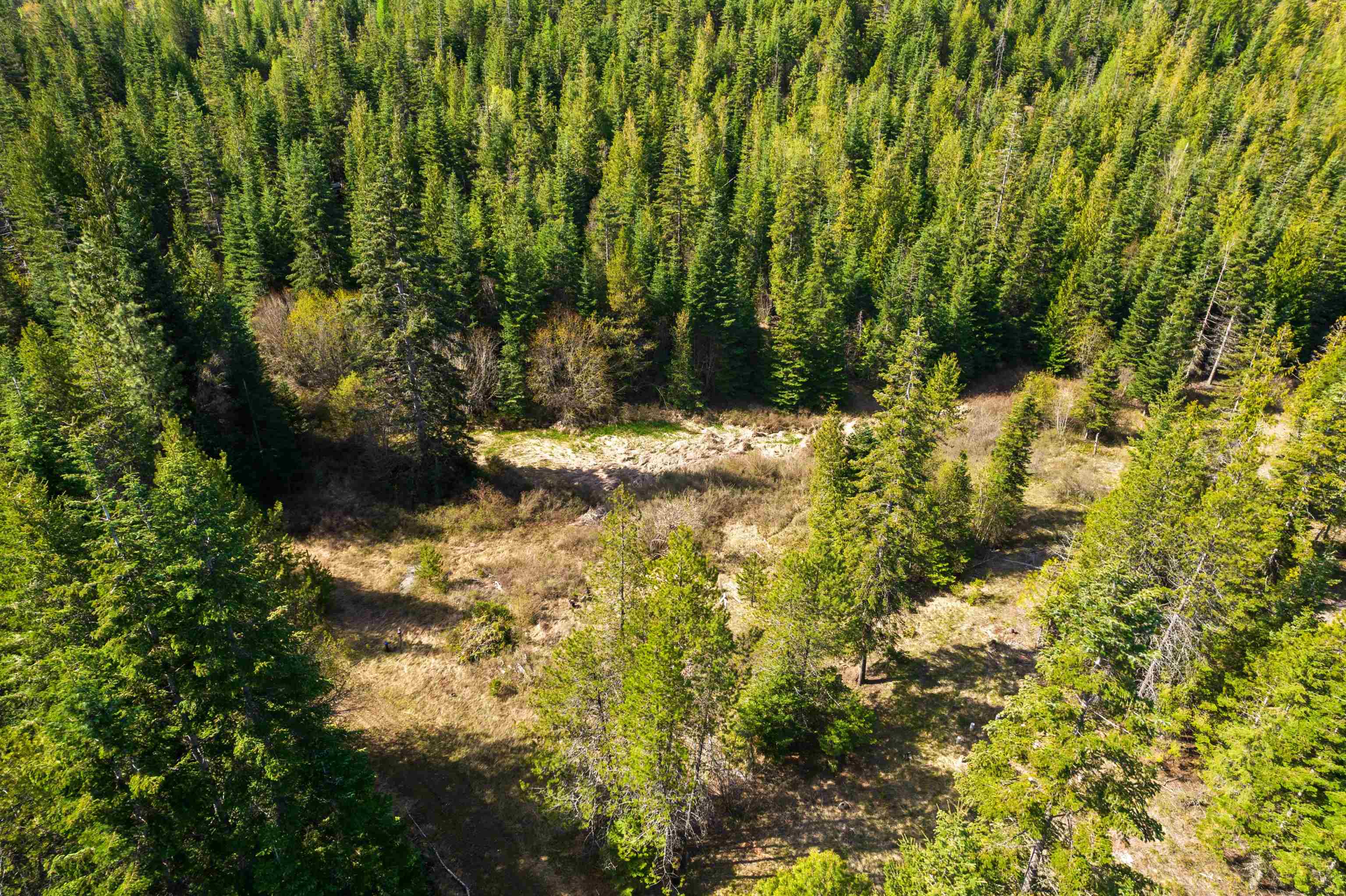2642 B Mud Lake Rd - Photo 11