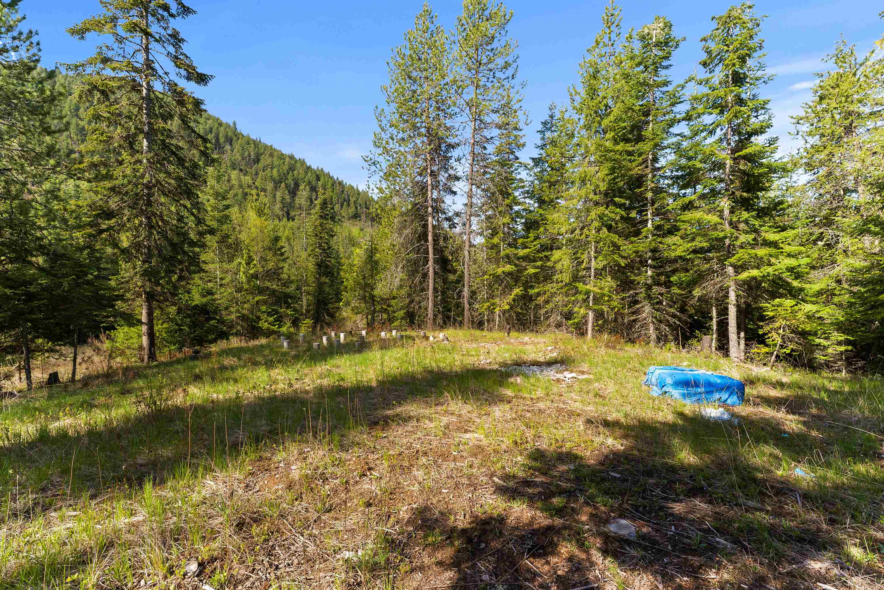 2642 B Mud Lake Rd - Photo 12