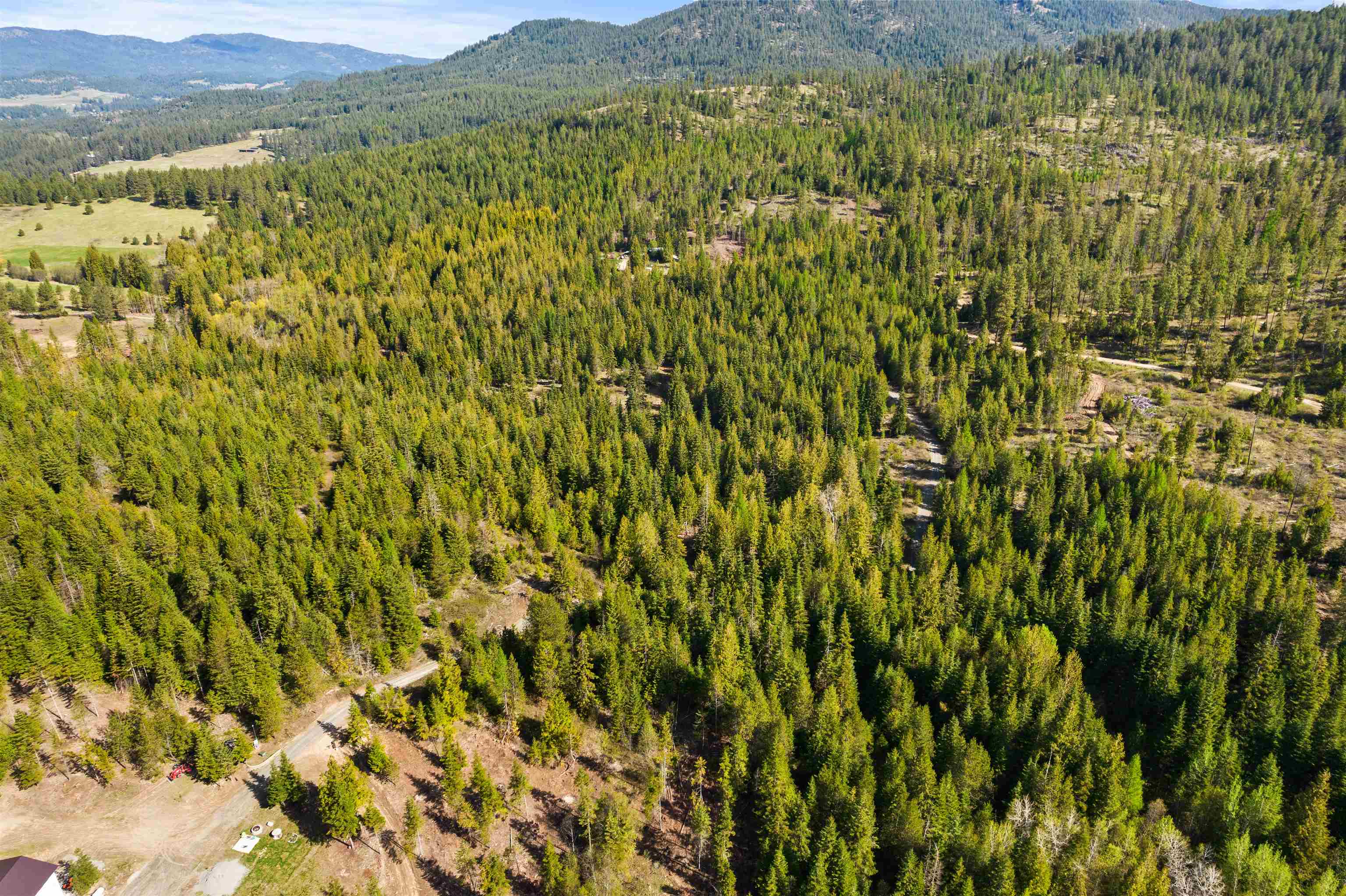 2642 B Mud Lake Rd - Photo 19