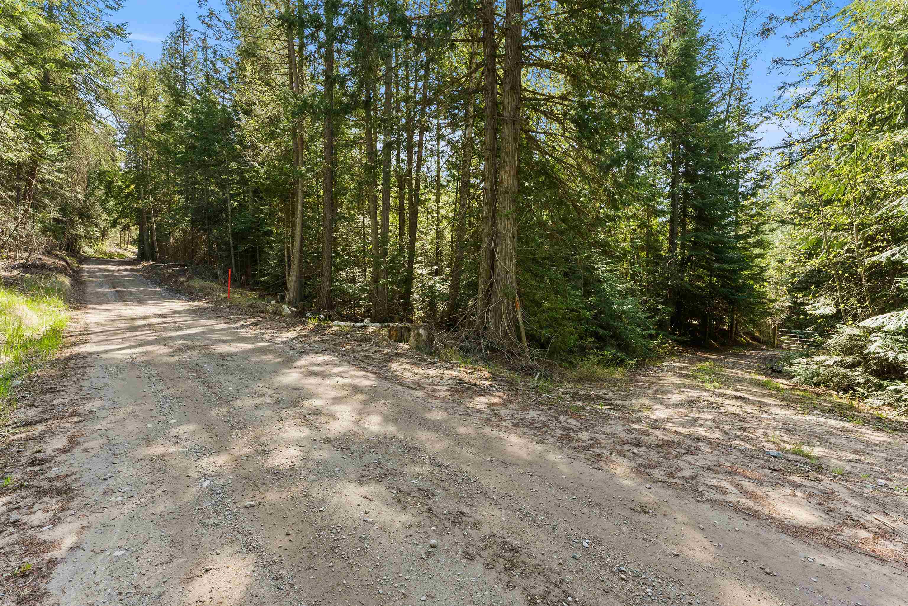 2642 B Mud Lake Rd - Photo 3