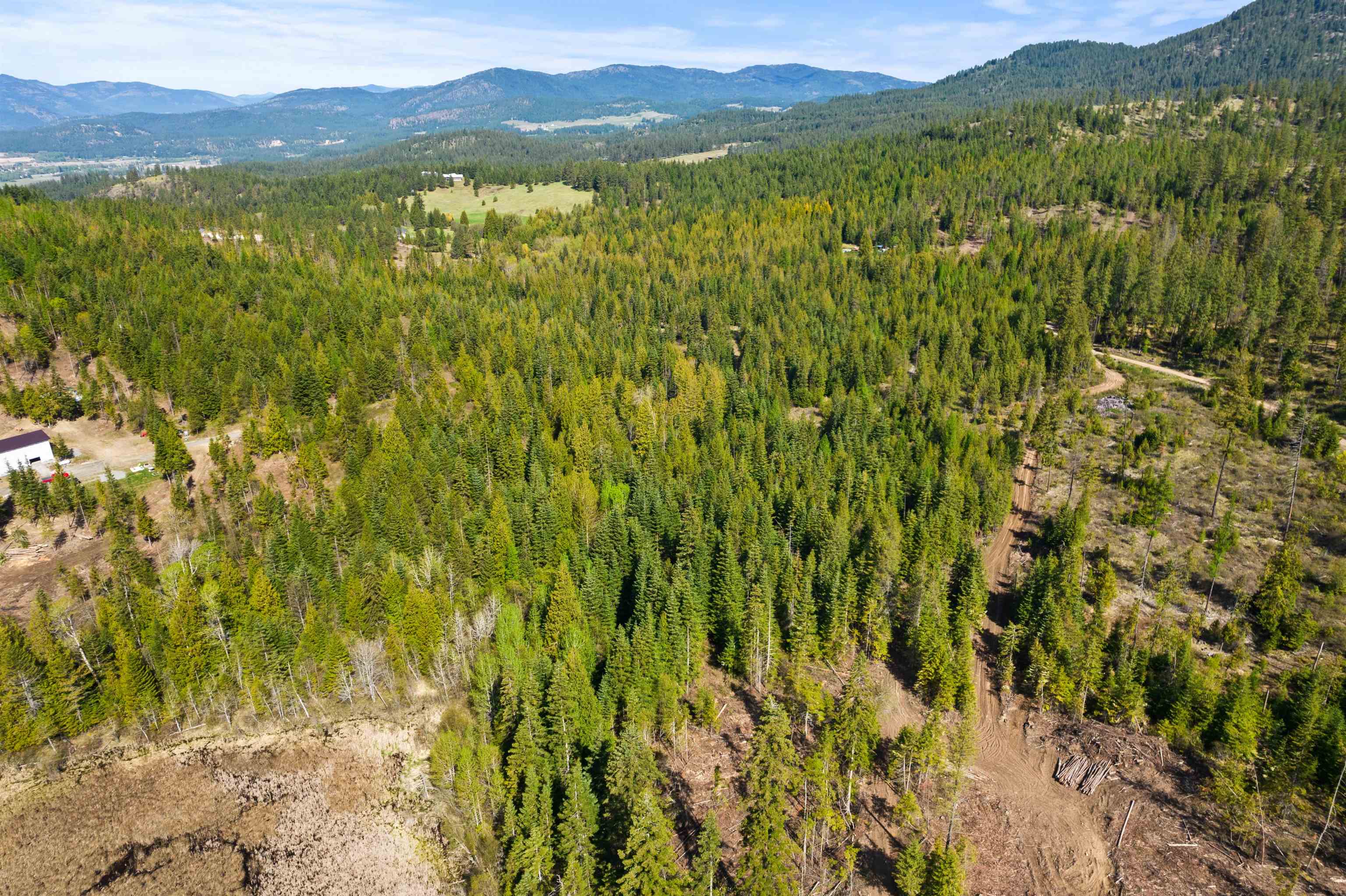 2642 B Mud Lake Rd - Photo 23
