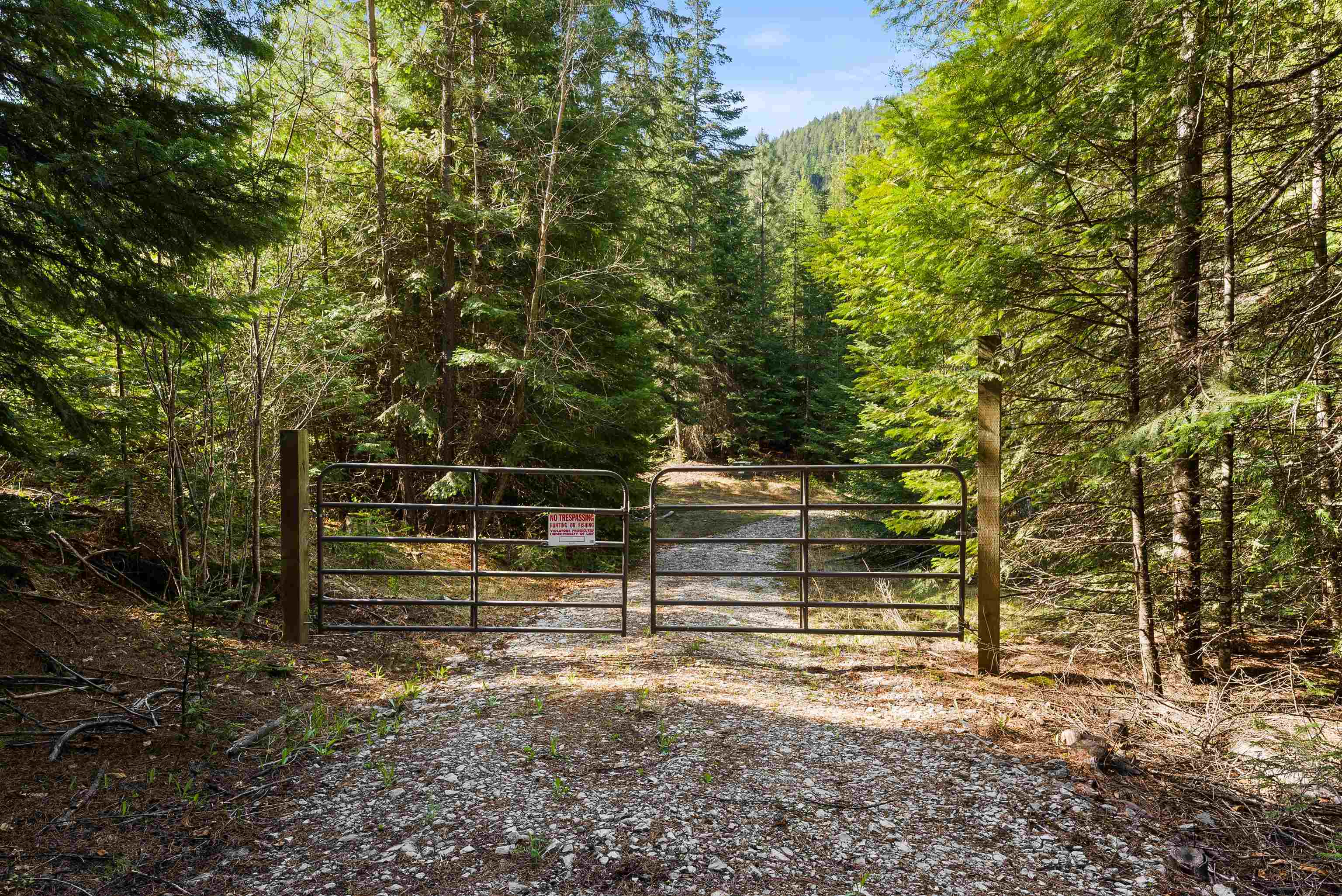 2642 B Mud Lake Rd - Photo 4