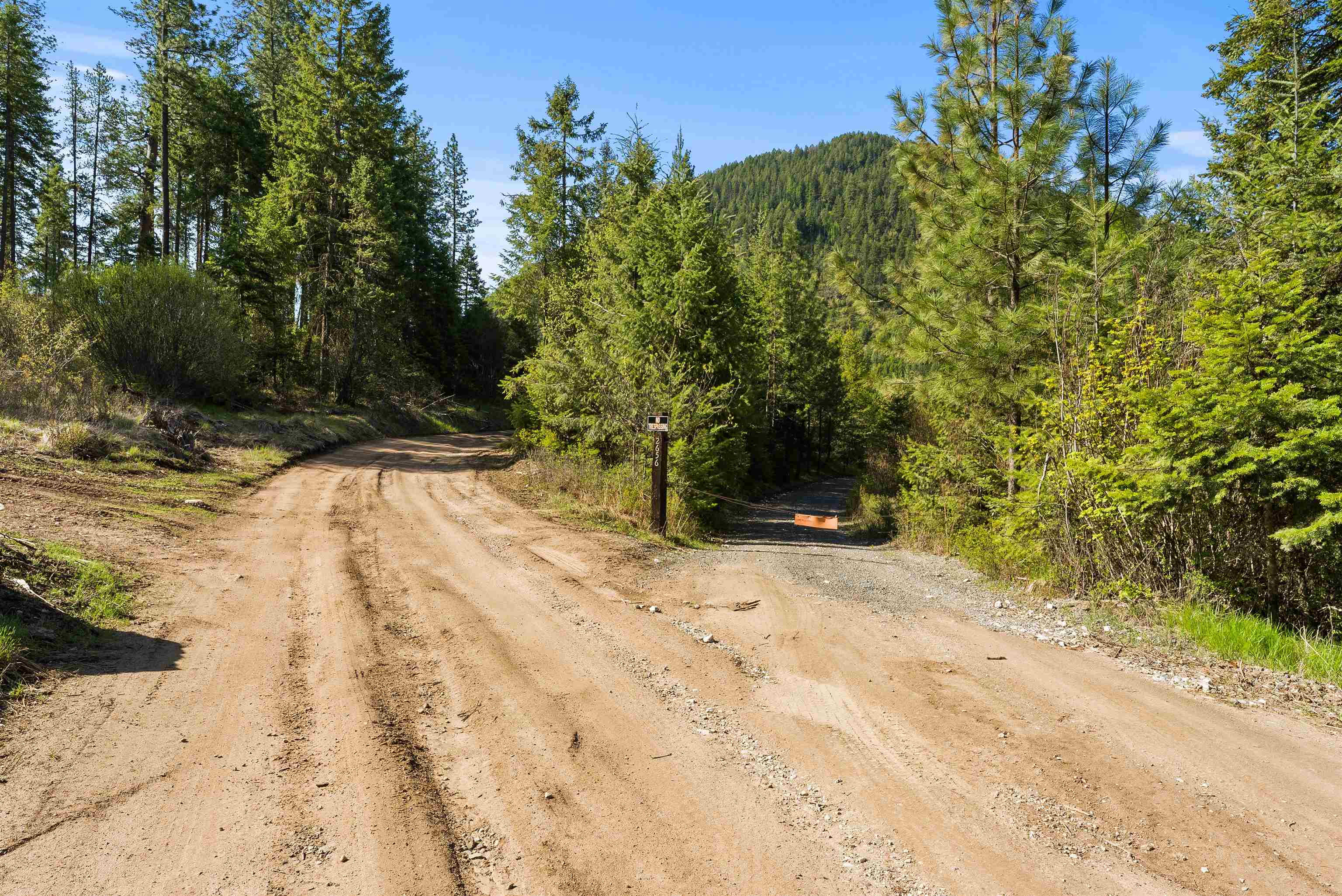 2642 B Mud Lake Rd - Photo 5