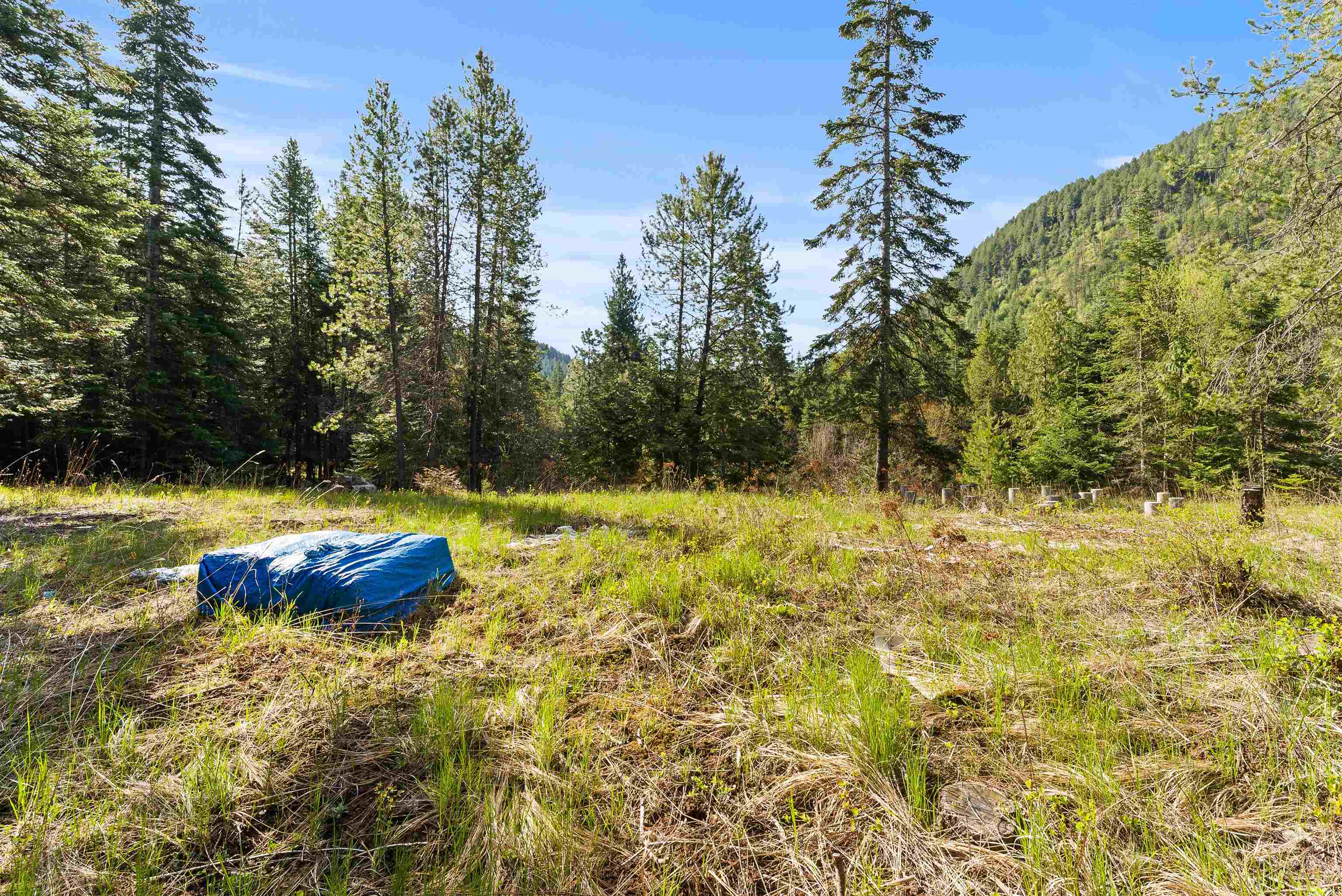 2642 B Mud Lake Rd - Photo 9