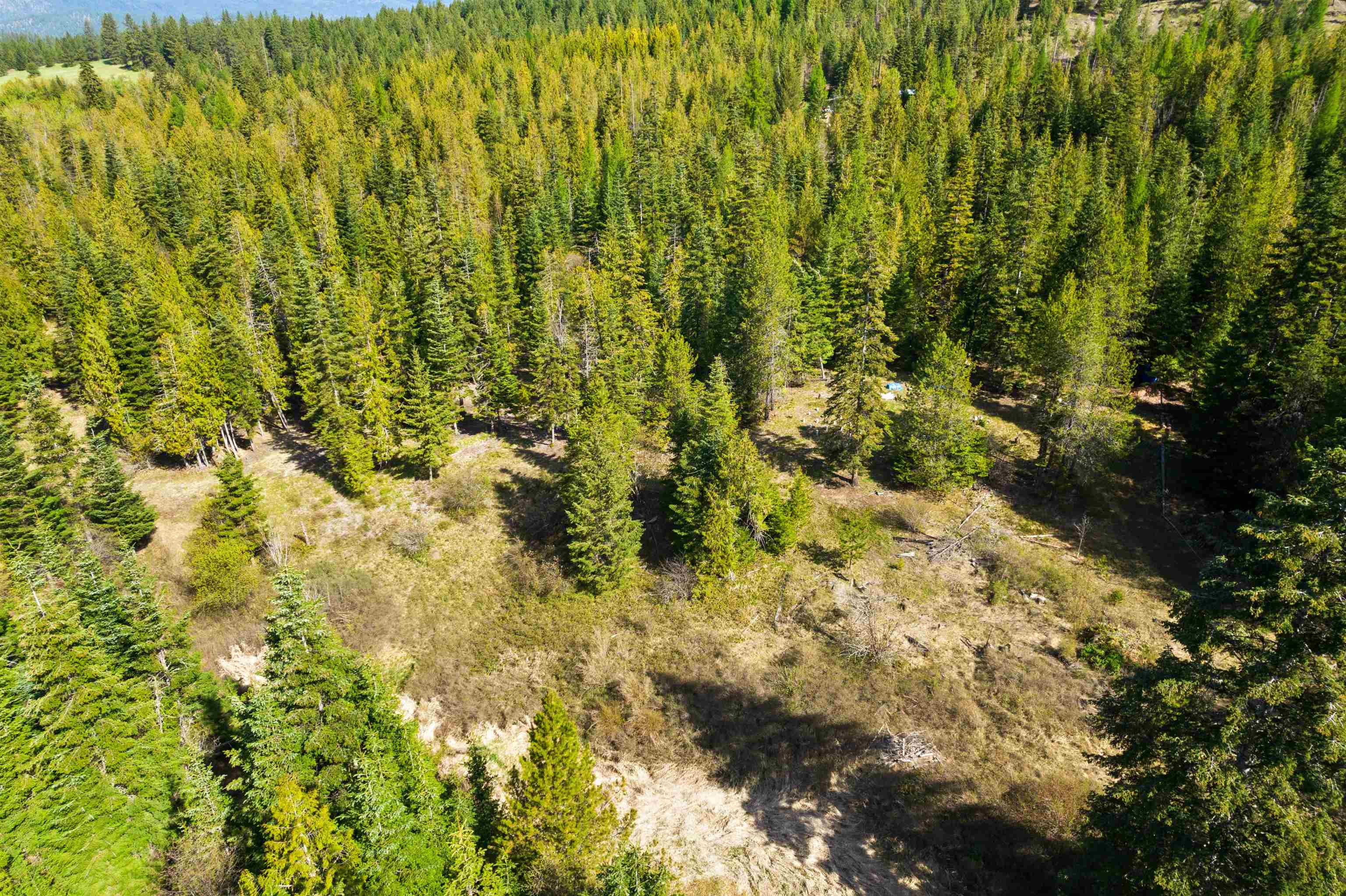 2642 B Mud Lake Rd - Photo 10