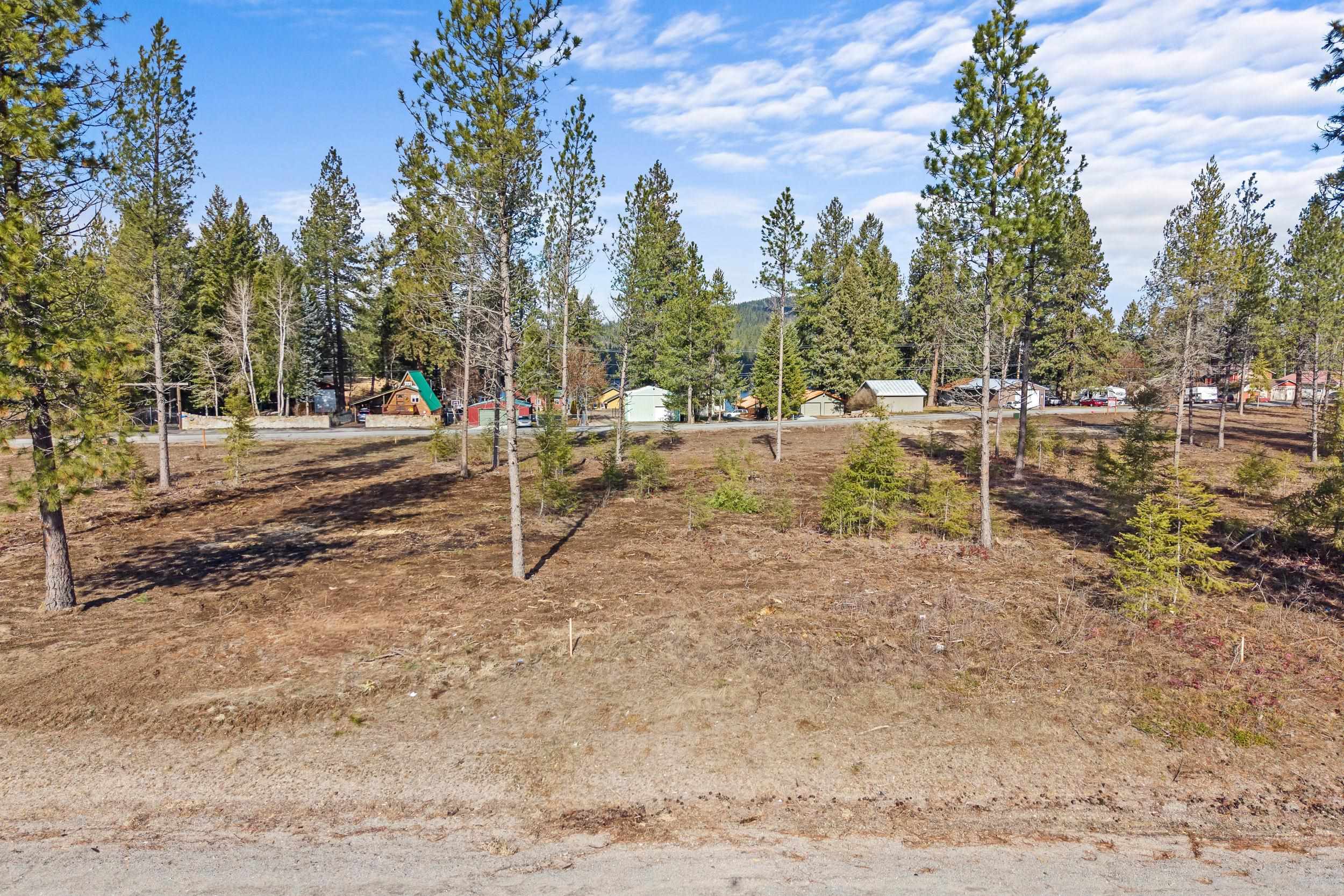 LOT 3 Southshore Diamond Lake Rd - Photo 10