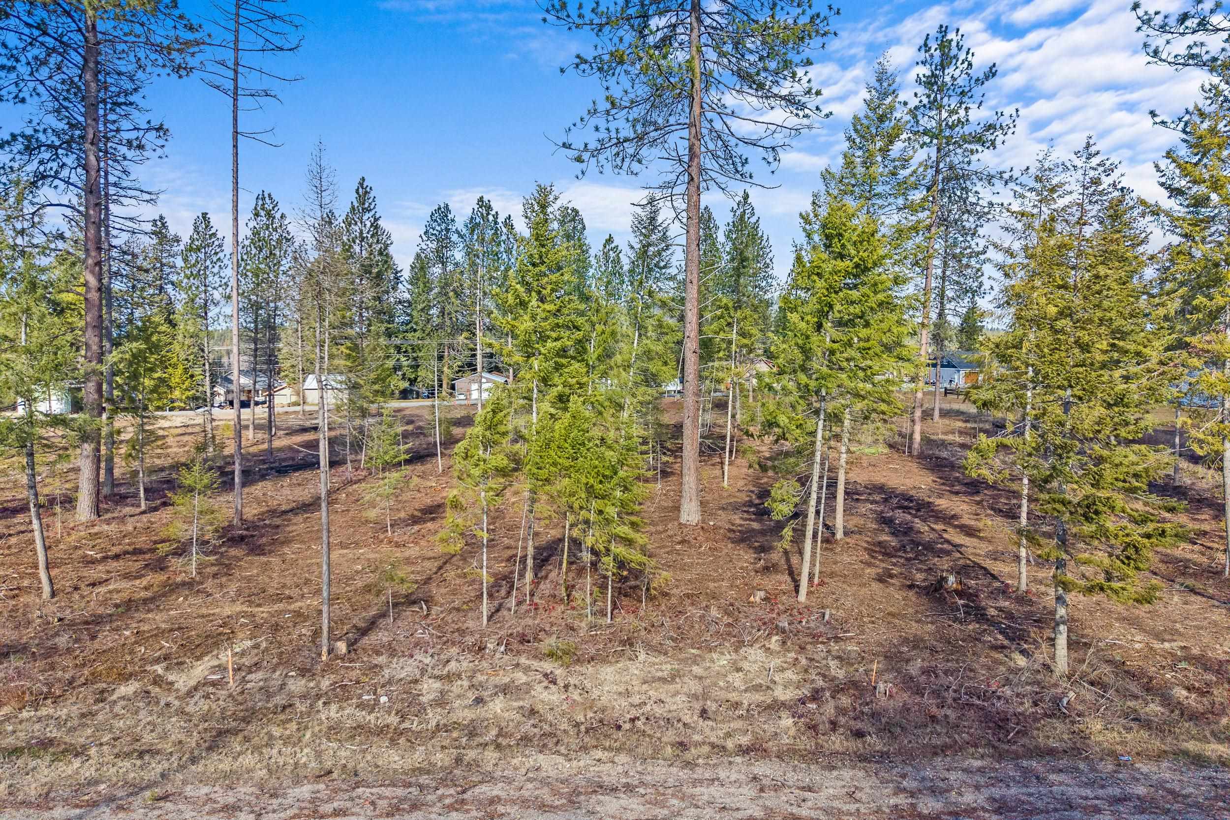 LOT 7 Southshore Diamond Lake Rd - Photo 13
