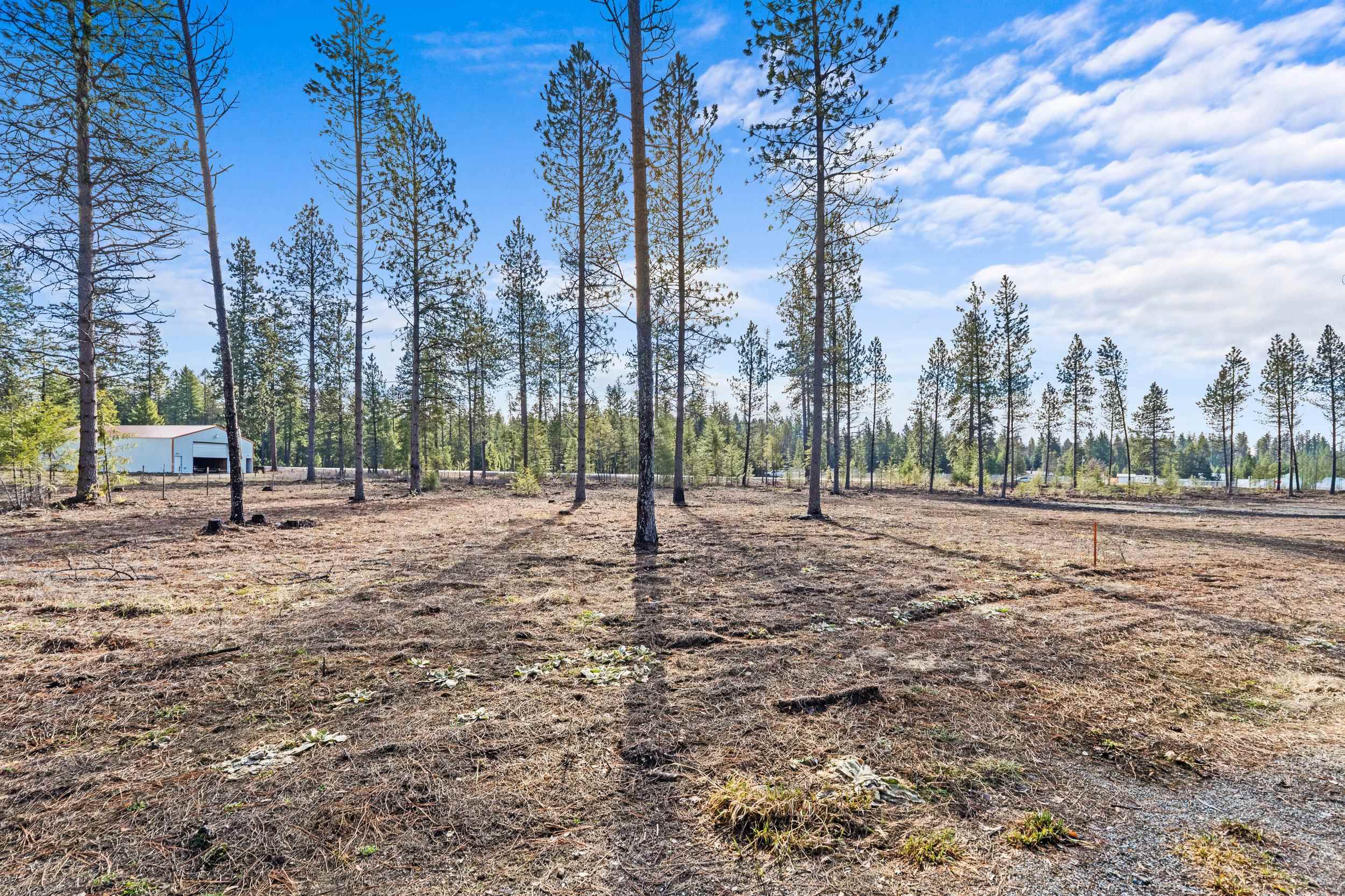 LOT 7 Southshore Diamond Lake Rd - Photo 42