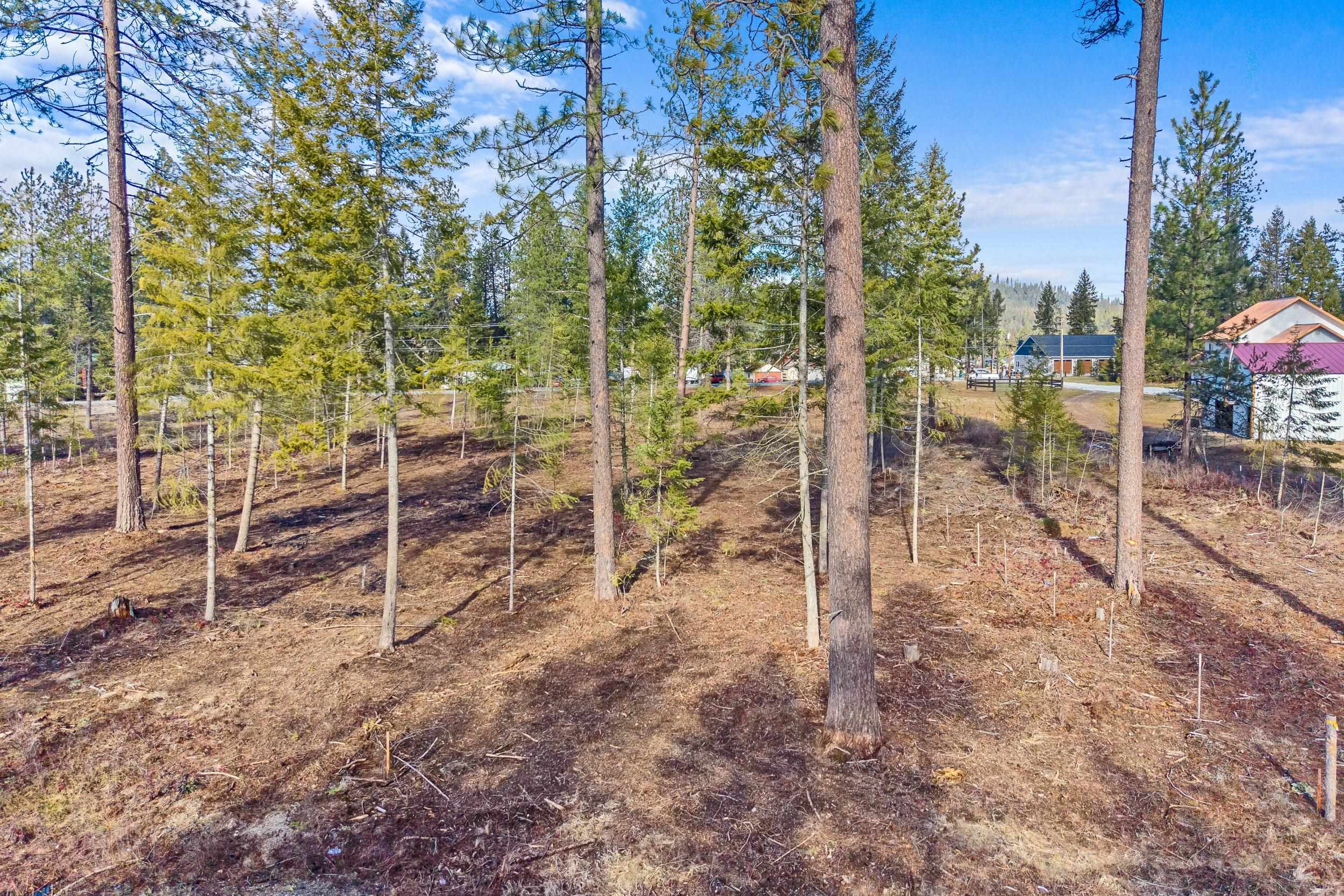 LOT 8 Southshore Diamond Lake Rd - Photo 14