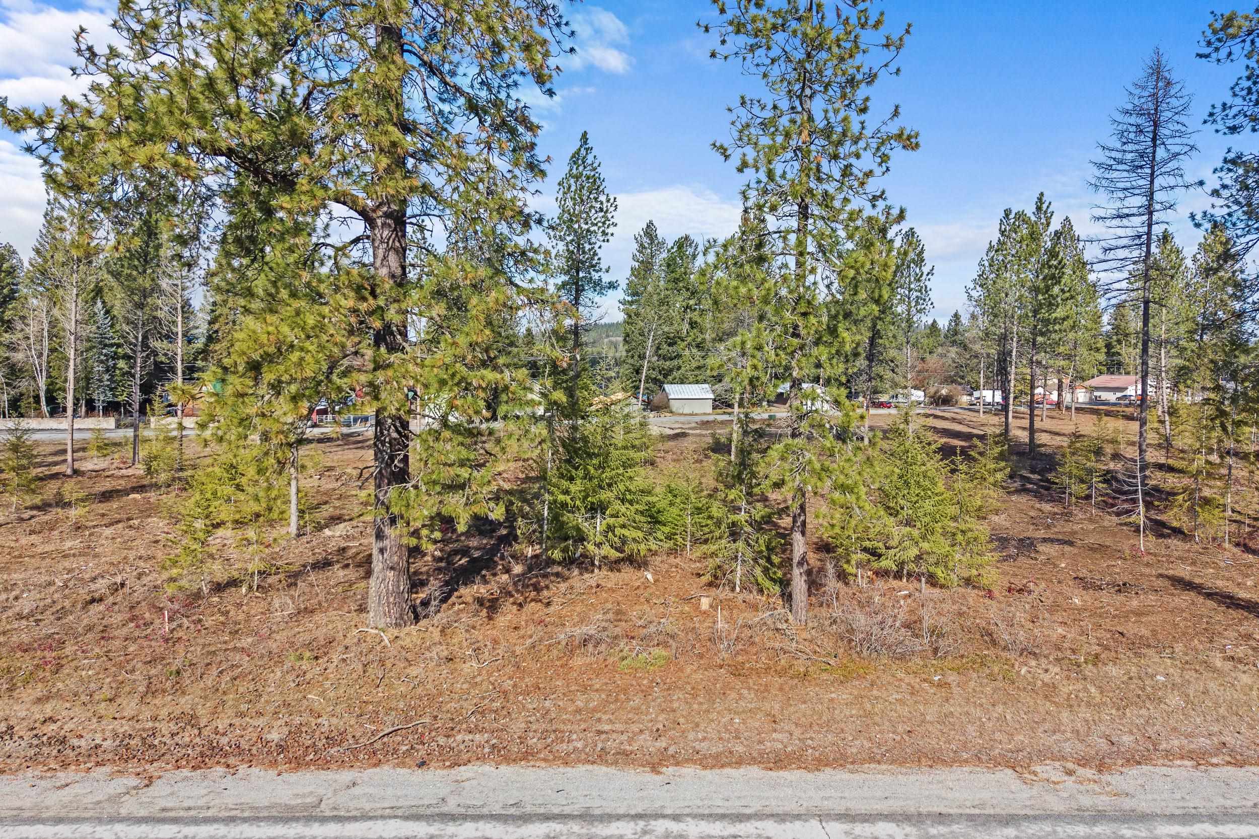 LOT 10 Southshore Diamond Lake Rd - Photo 11