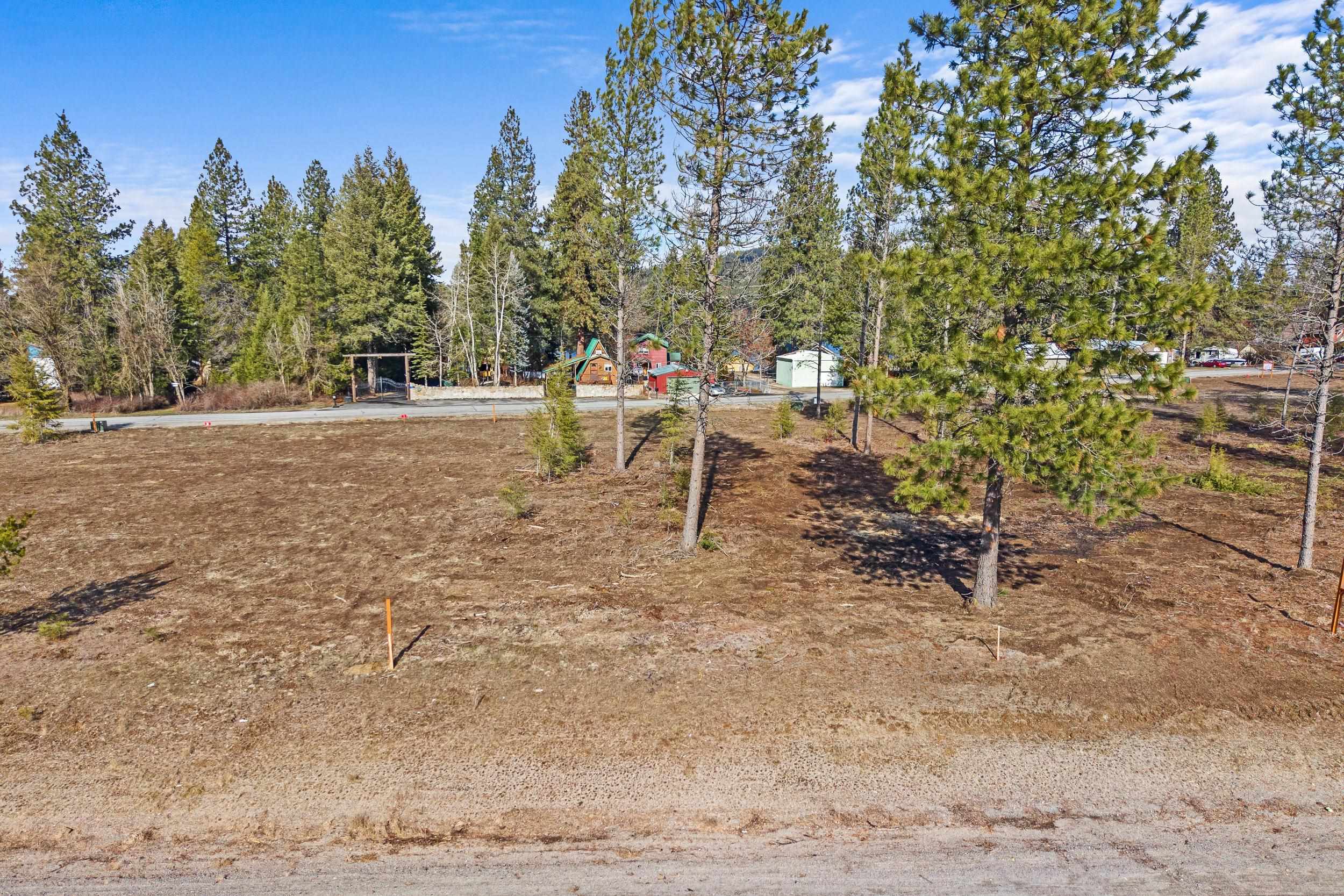 LOT 10 Southshore Diamond Lake Rd - Photo 9
