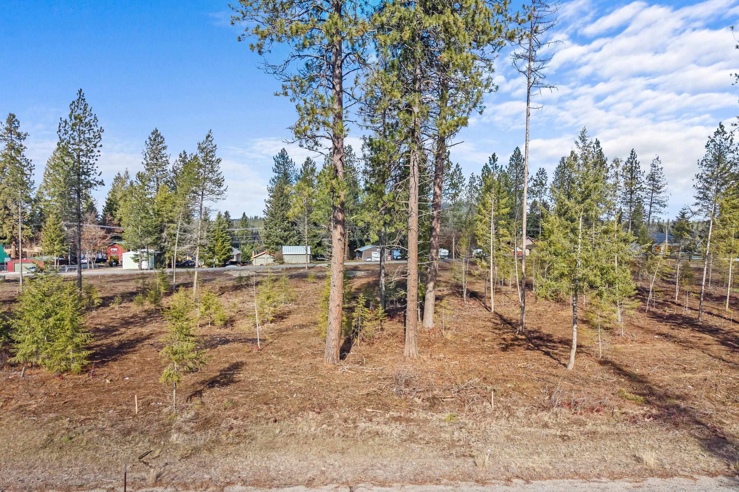 LOT 15 Southshore Diamond Lake Rd - Photo 12