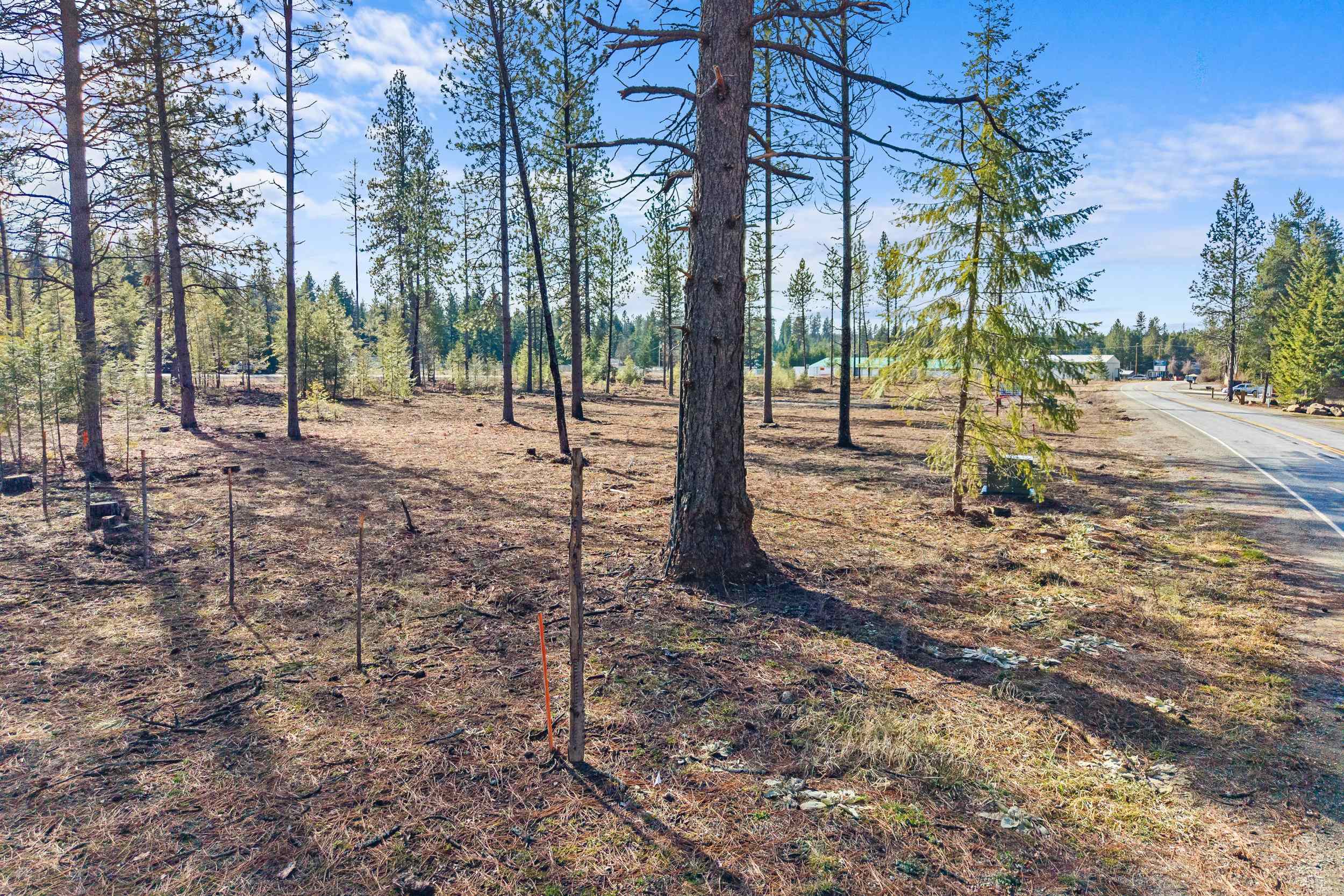 LOT 14 Southshore Diamond Lake Rd - Photo 26