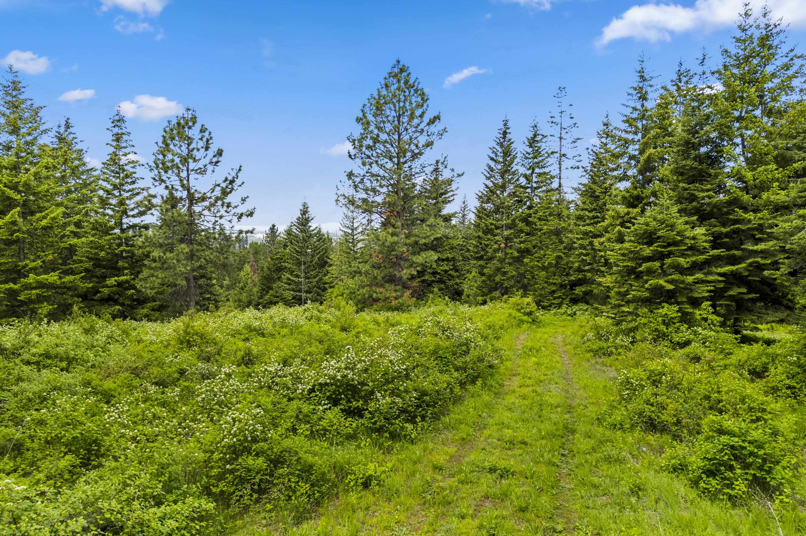 15124 E Emery Rd - Photo 15