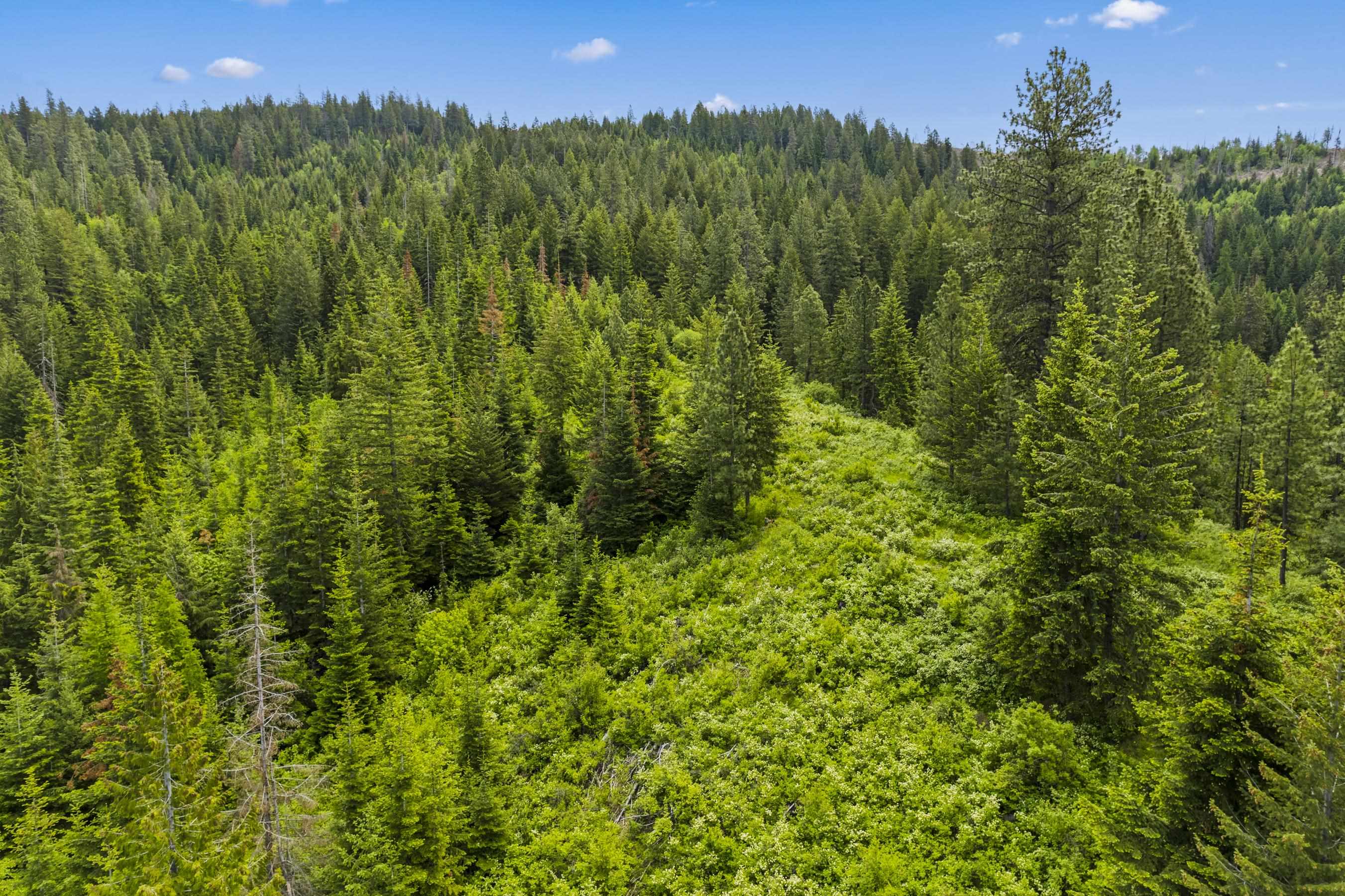 15124 E Emery Rd - Photo 18