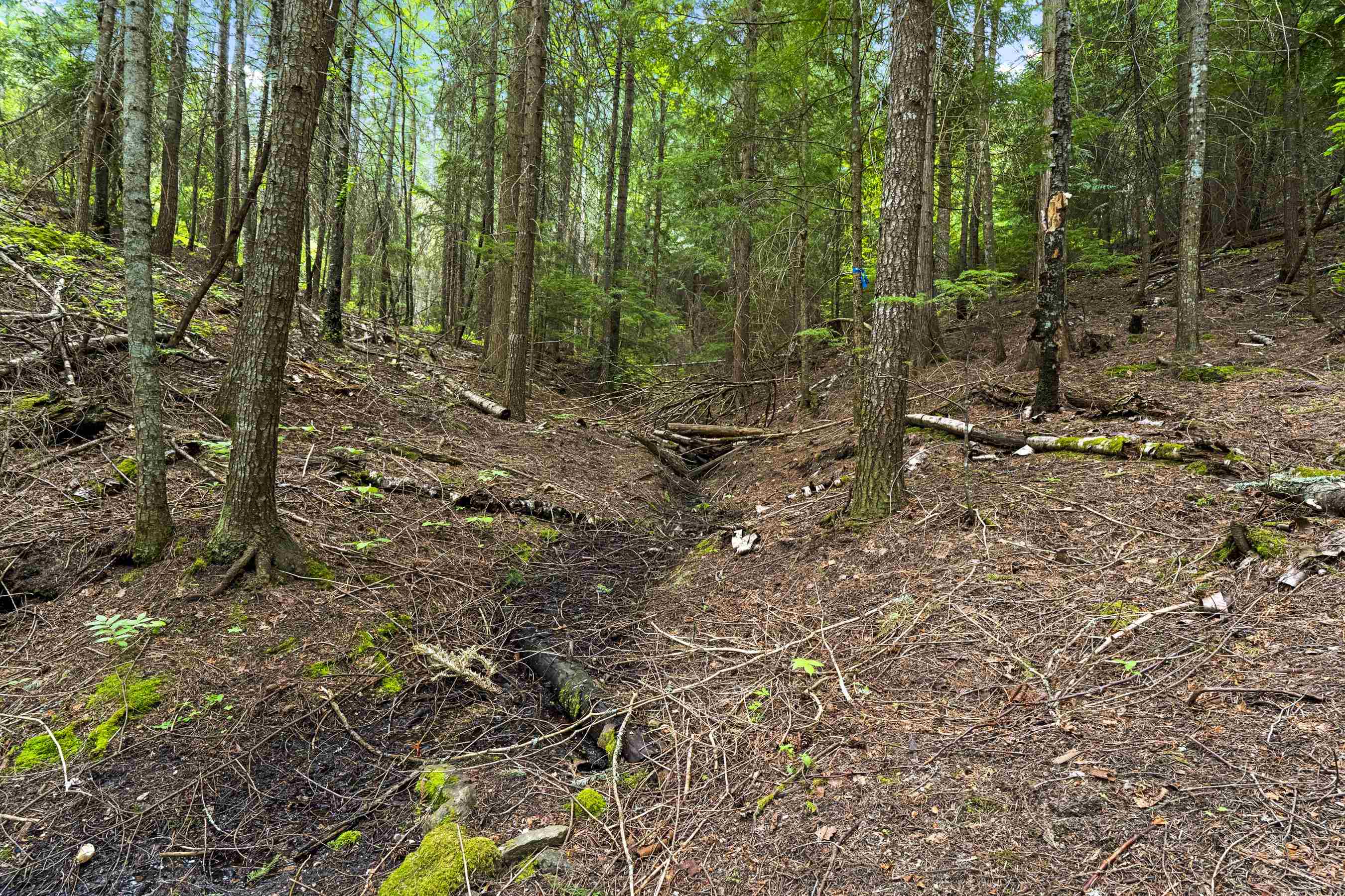 15124 E Emery Rd - Photo 21