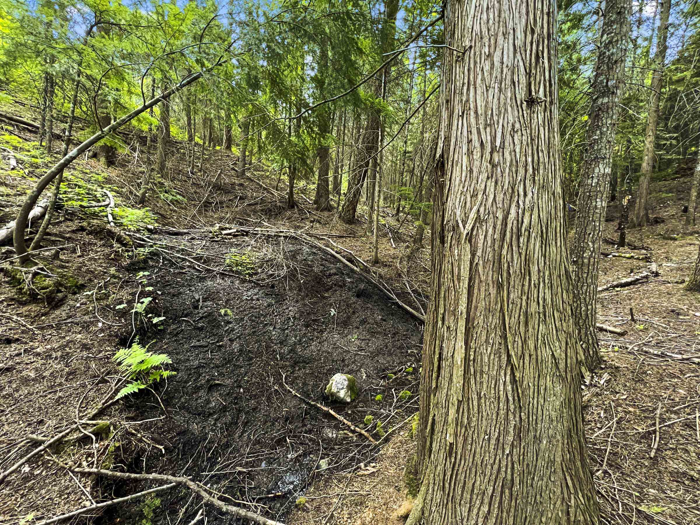 15124 E Emery Rd - Photo 25