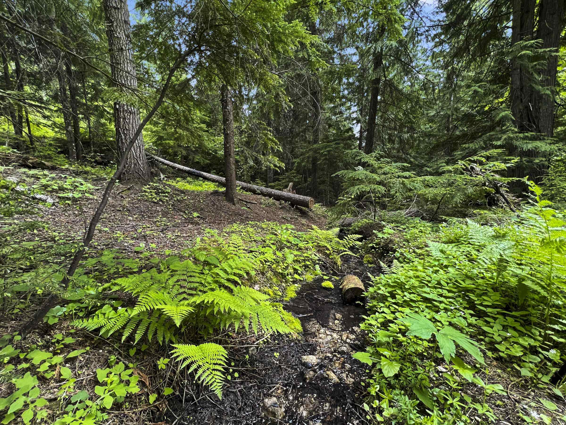 15124 E Emery Rd - Photo 26
