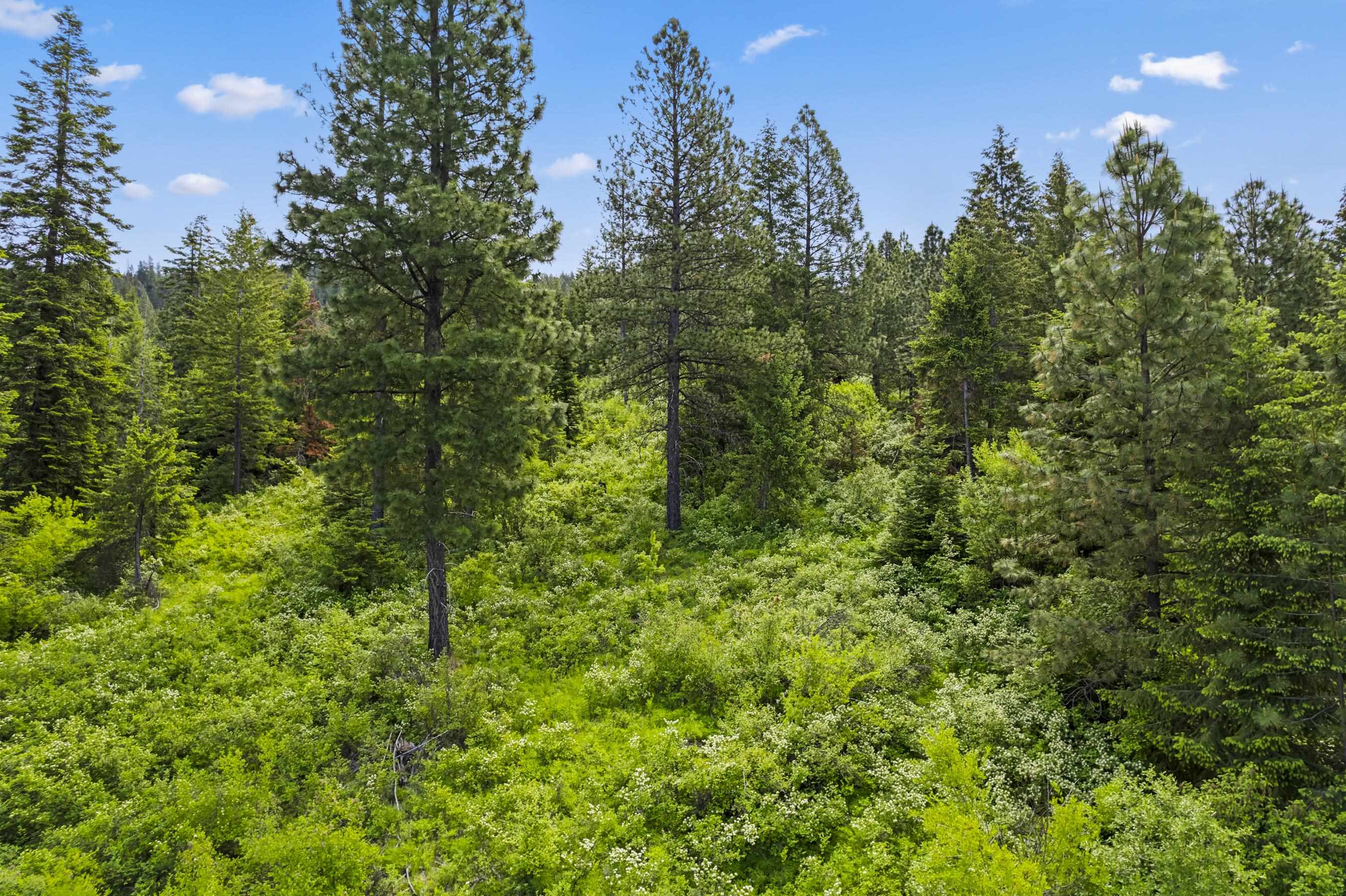15124 E Emery Rd - Photo 8
