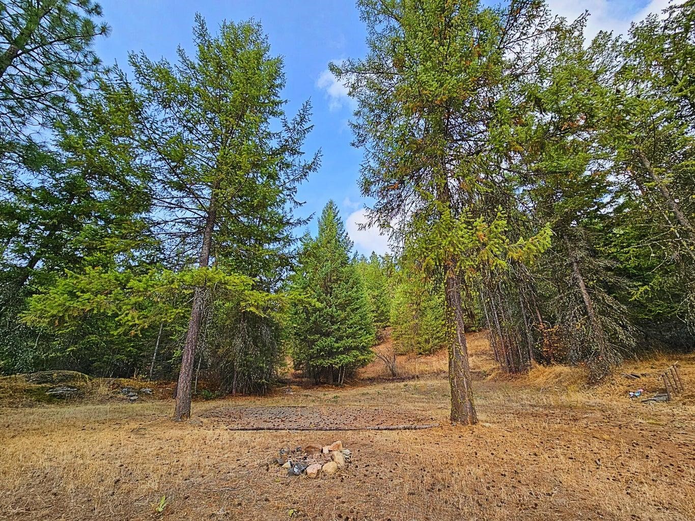 1631 Q N Bonanza Hill Rd - Photo 2