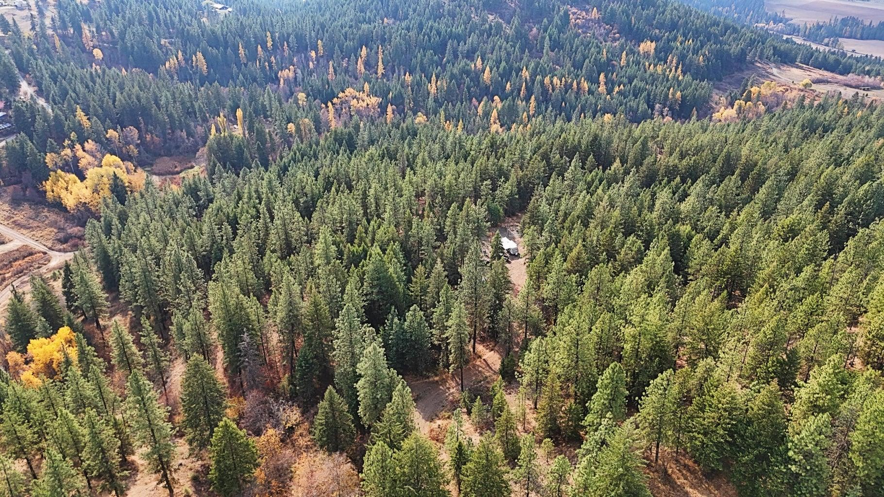 1631 Q N Bonanza Hill Rd - Photo 12