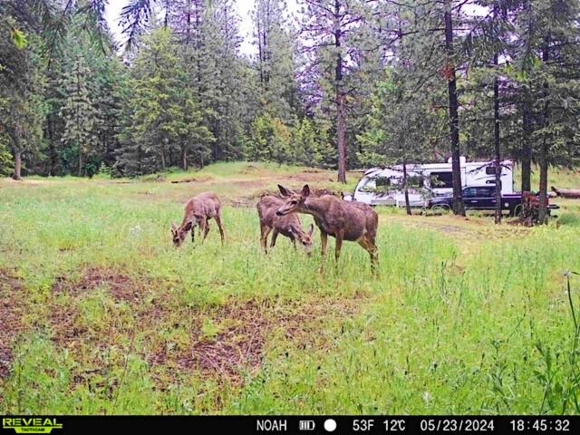 1631 Q N Bonanza Hill Rd - Photo 13