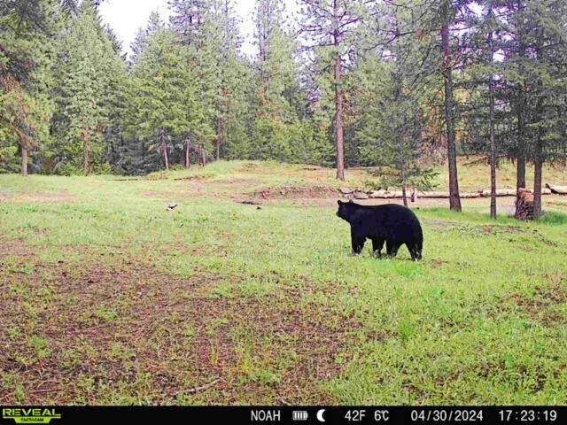 1631 Q N Bonanza Hill Rd - Photo 16