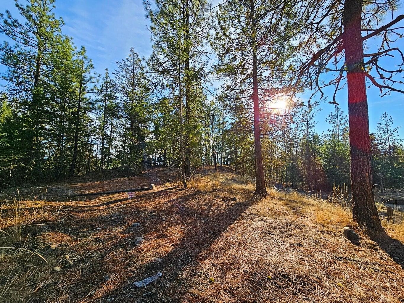 1631 Q N Bonanza Hill Rd - Photo 23