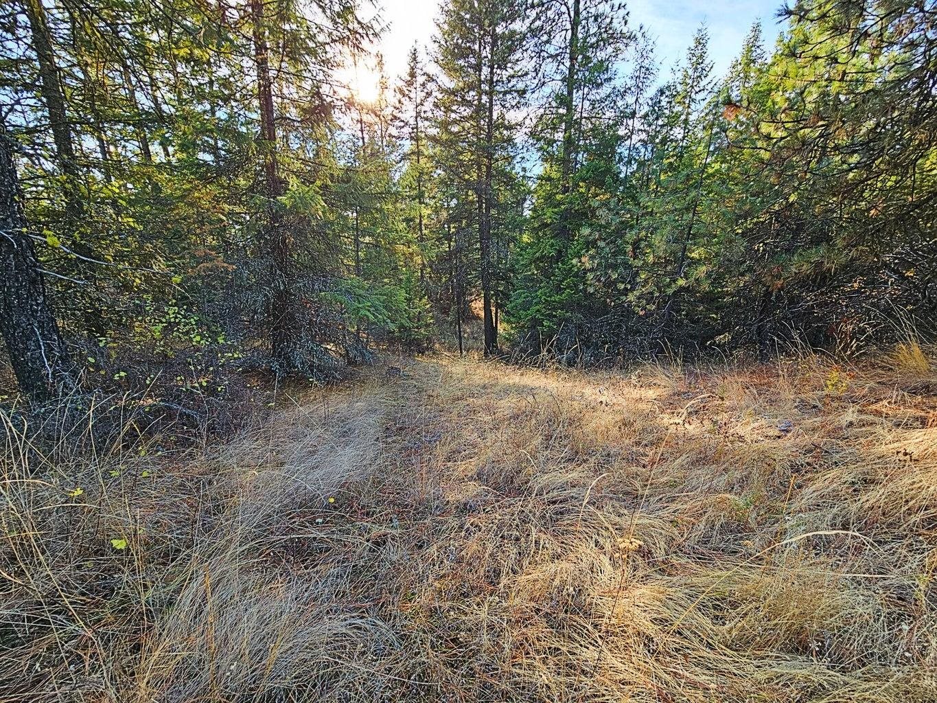1631 Q N Bonanza Hill Rd - Photo 28