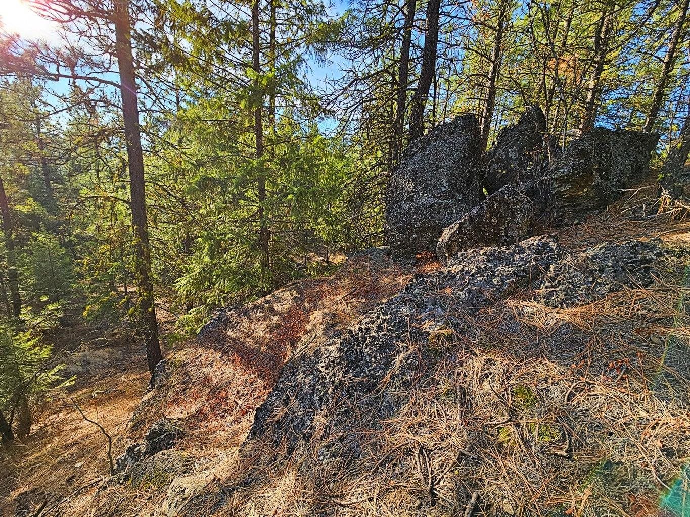 1631 Q N Bonanza Hill Rd - Photo 30