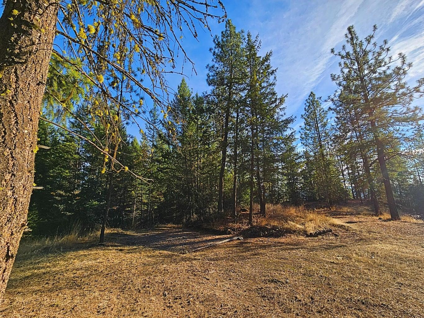 1631 Q N Bonanza Hill Rd - Photo 32
