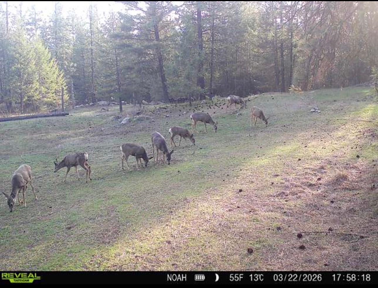 1631 Q N Bonanza Hill Rd - Photo 37