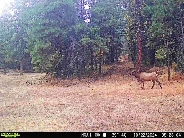 1631 Q N Bonanza Hill Rd - Photo 7