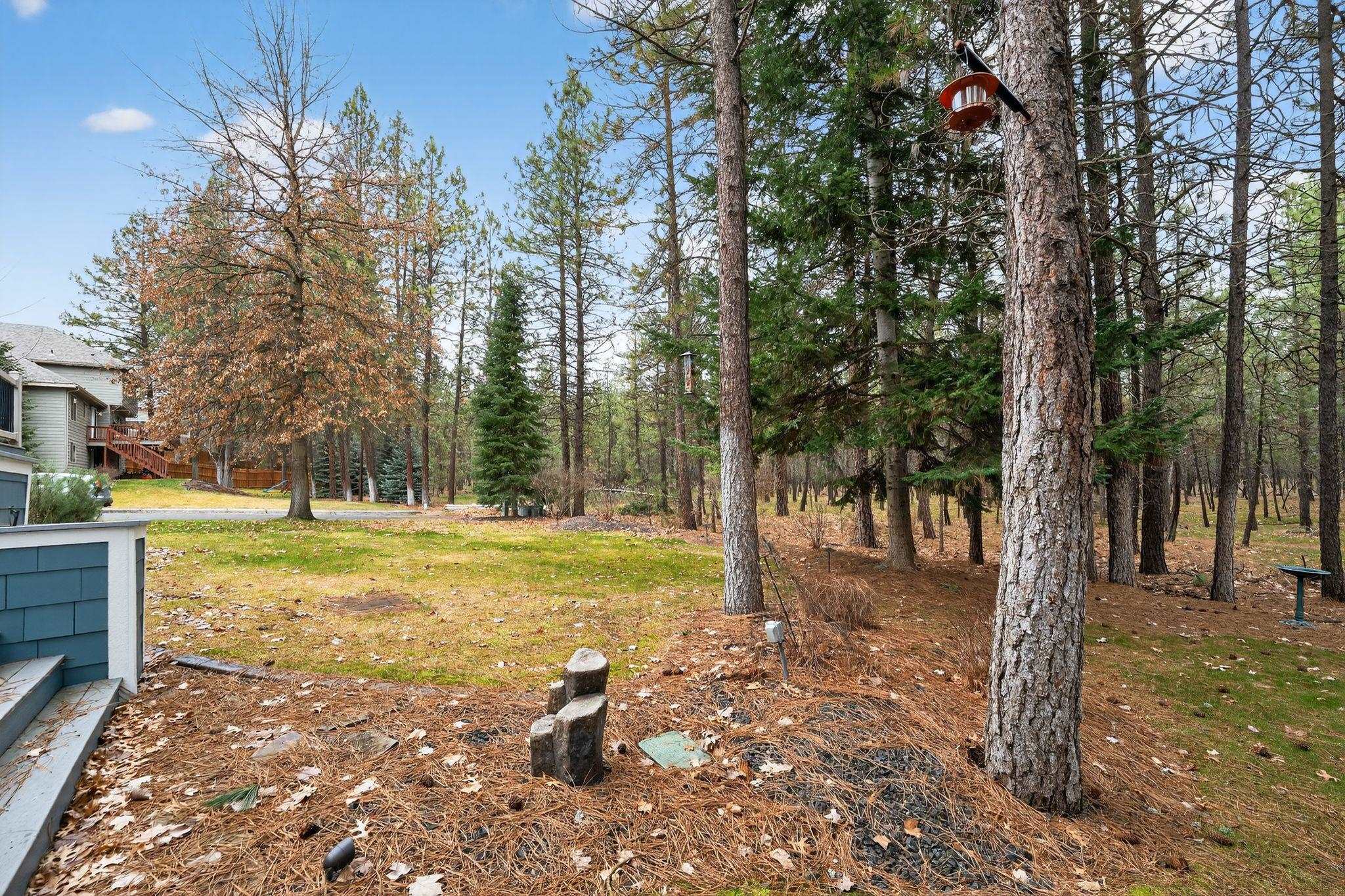 15920 N Glencrest Dr - Photo 39