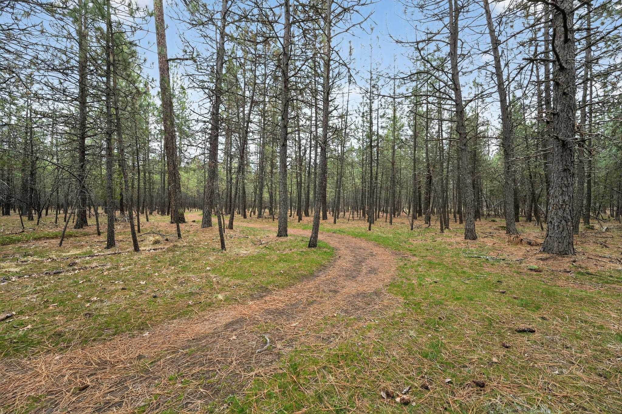 15920 N Glencrest Dr - Photo 40