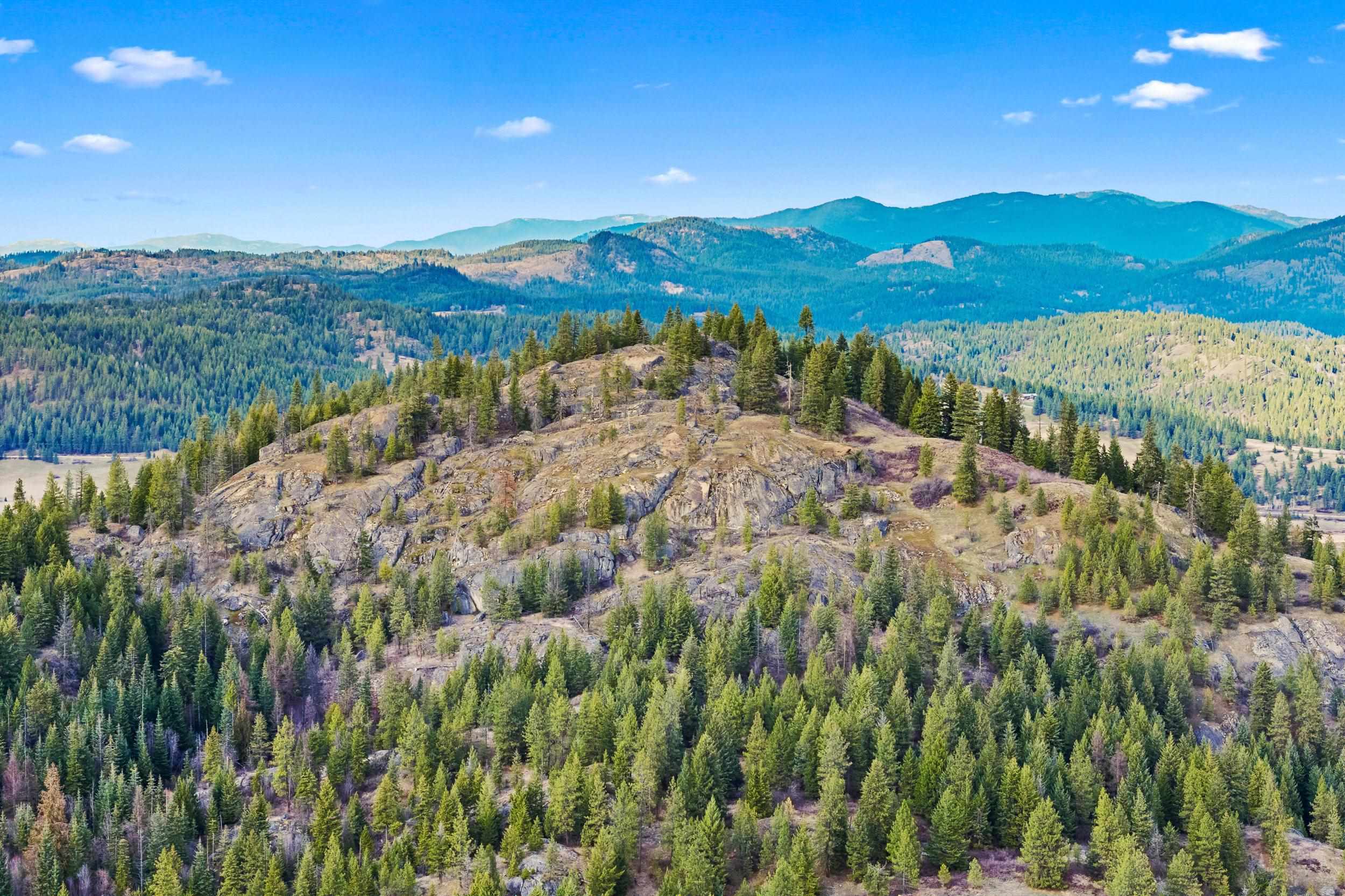 36XX Lane Mountain Way - Photo 12