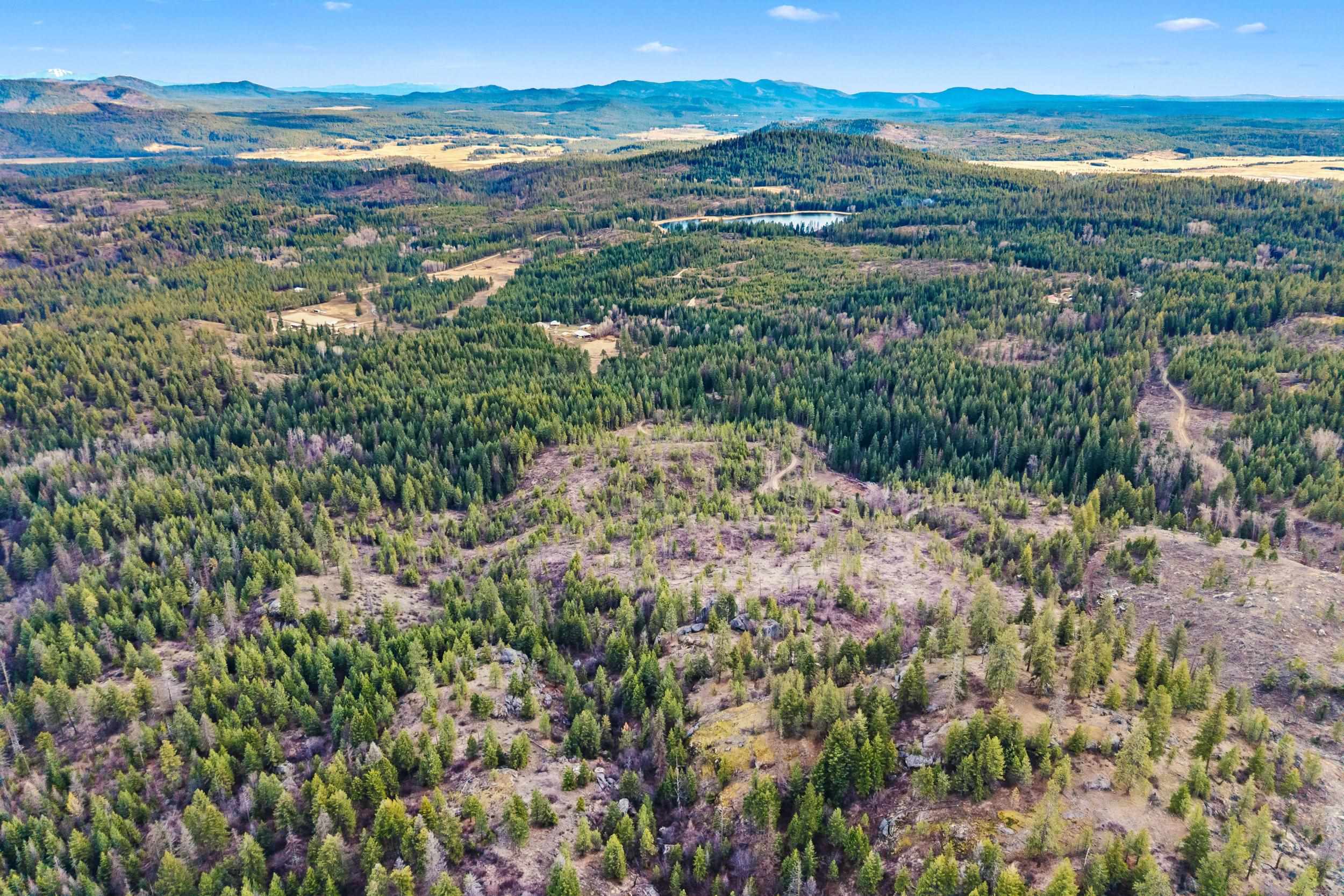 36XX Lane Mountain Way - Photo 13