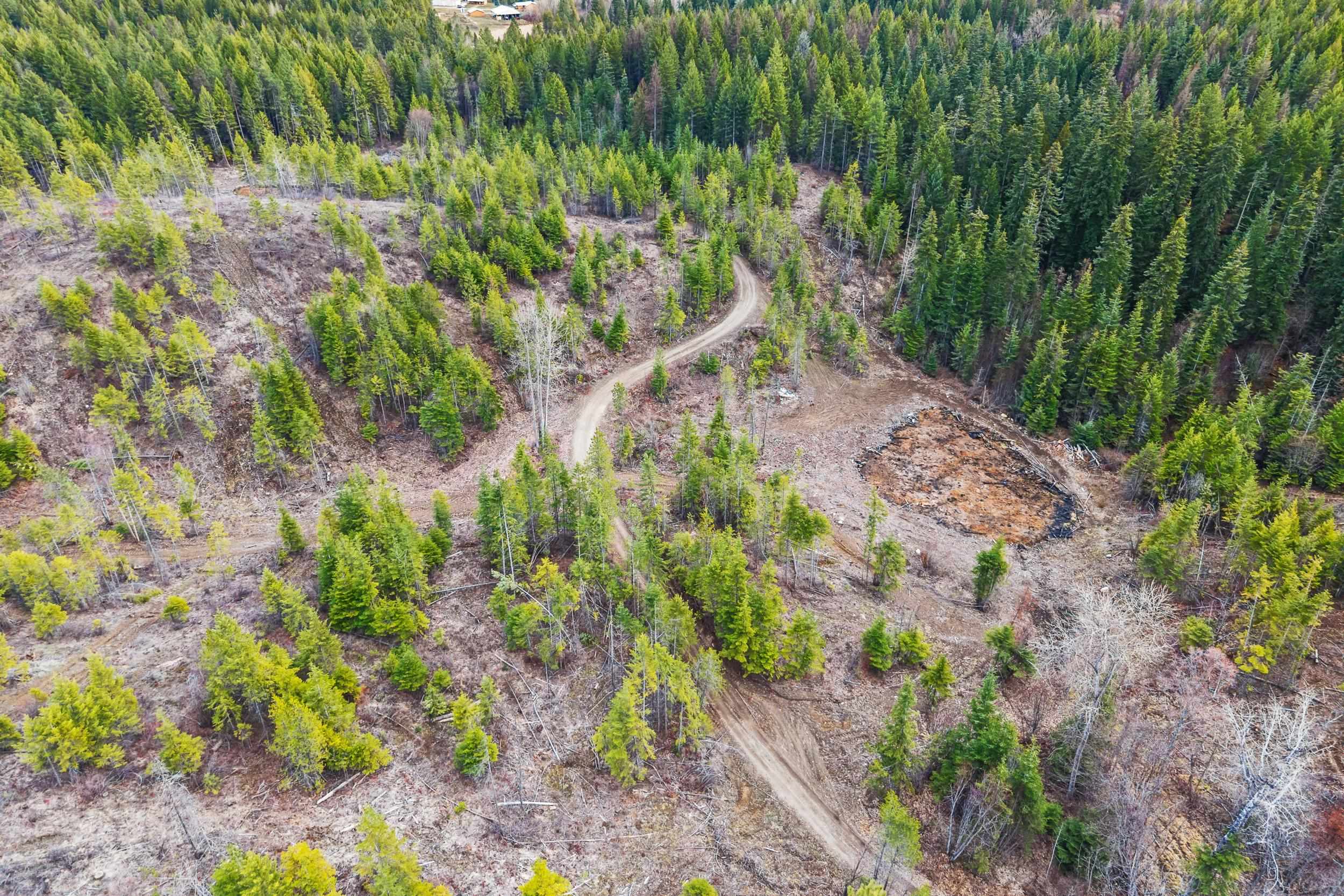 36XX Lane Mountain Way - Photo 3