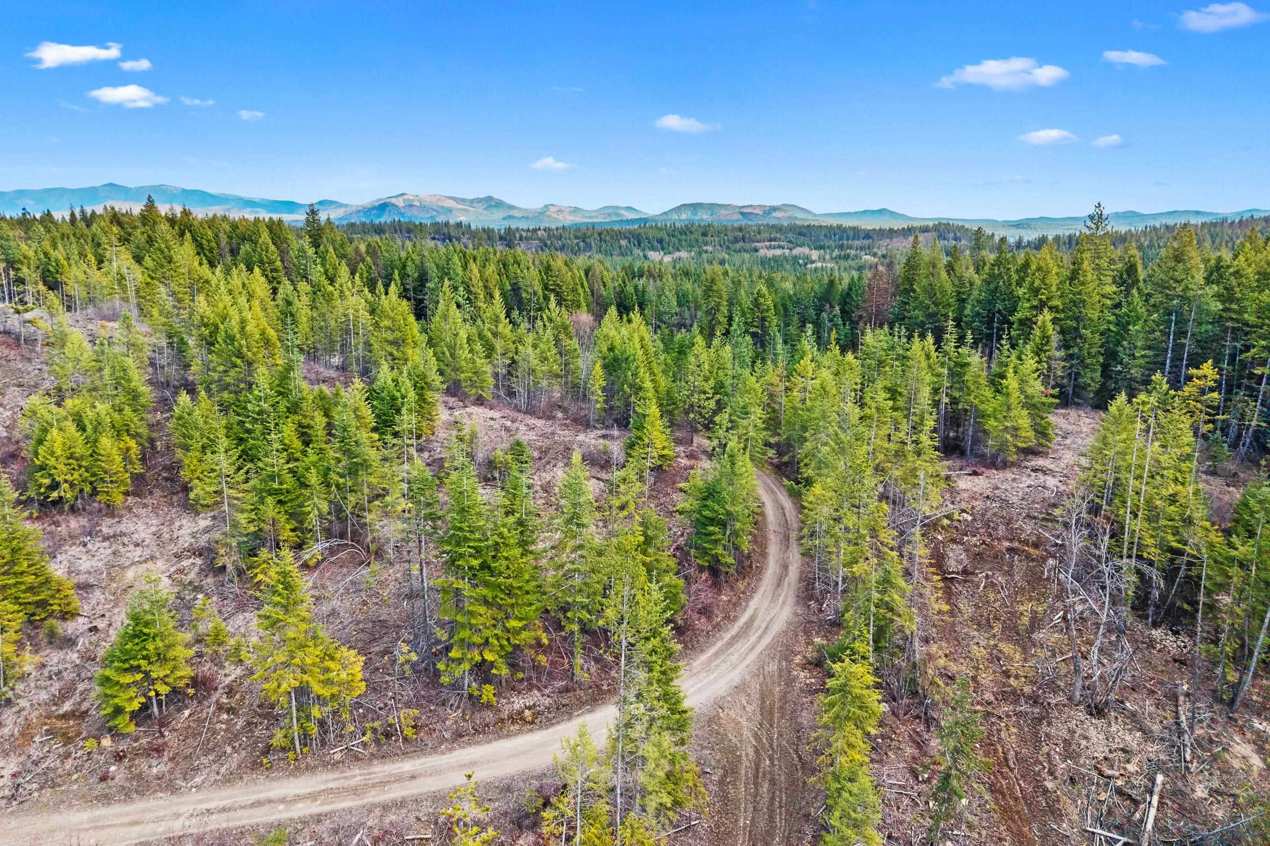 36XX Lane Mountain Way - Photo 4