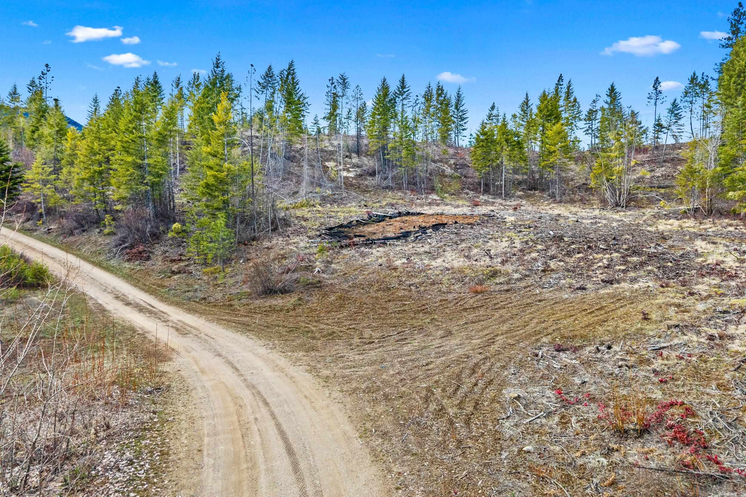 36XX Lane Mountain Way - Photo 6