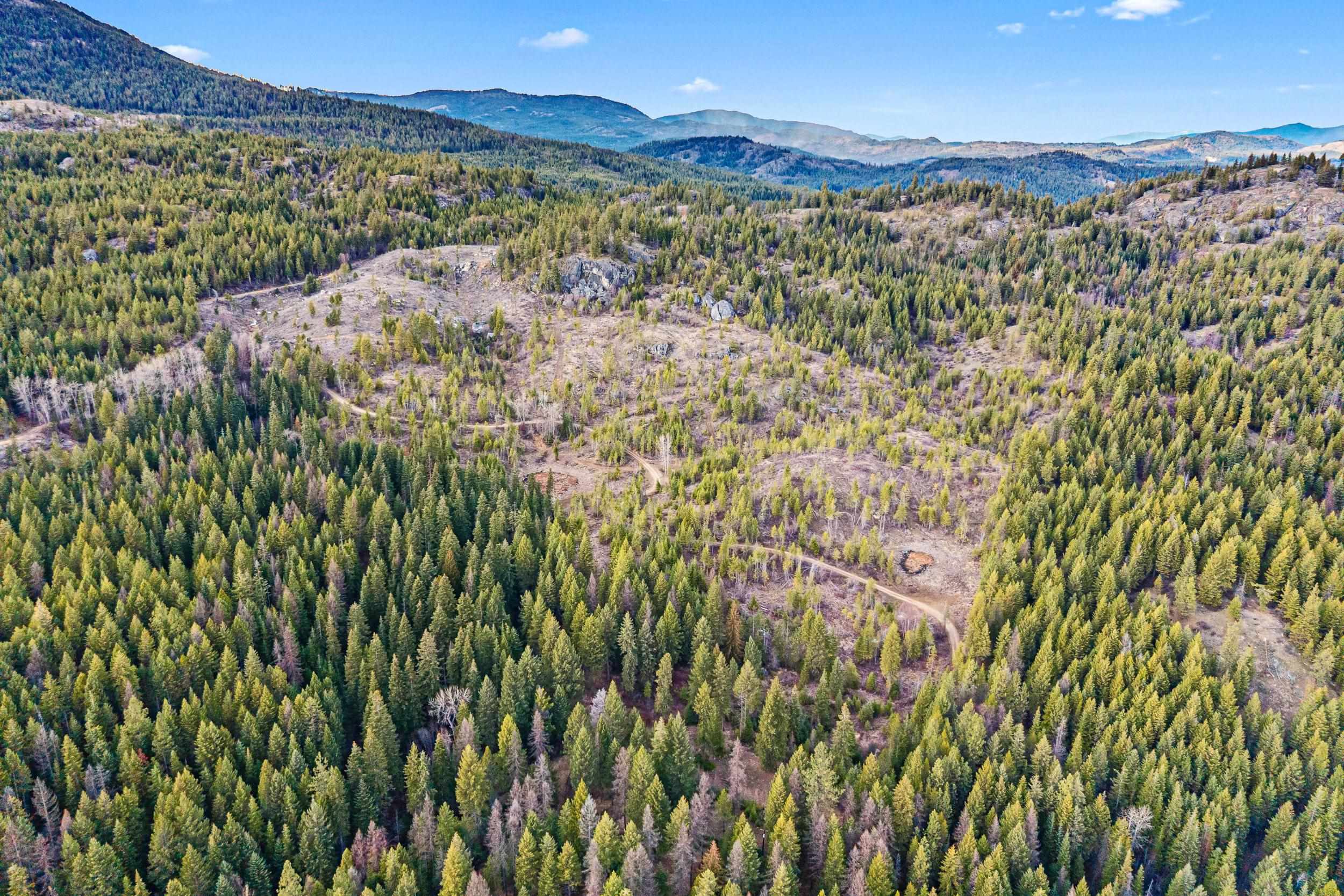 36XX Lane Mountain Way - Photo 8
