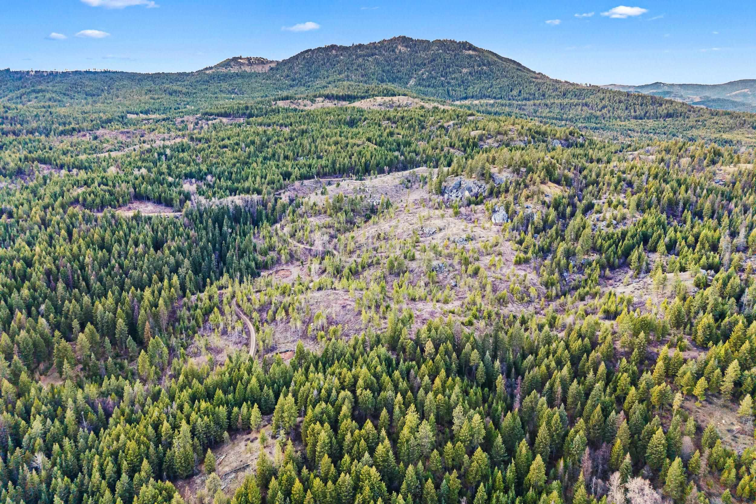 36XX Lane Mountain Way - Photo 10