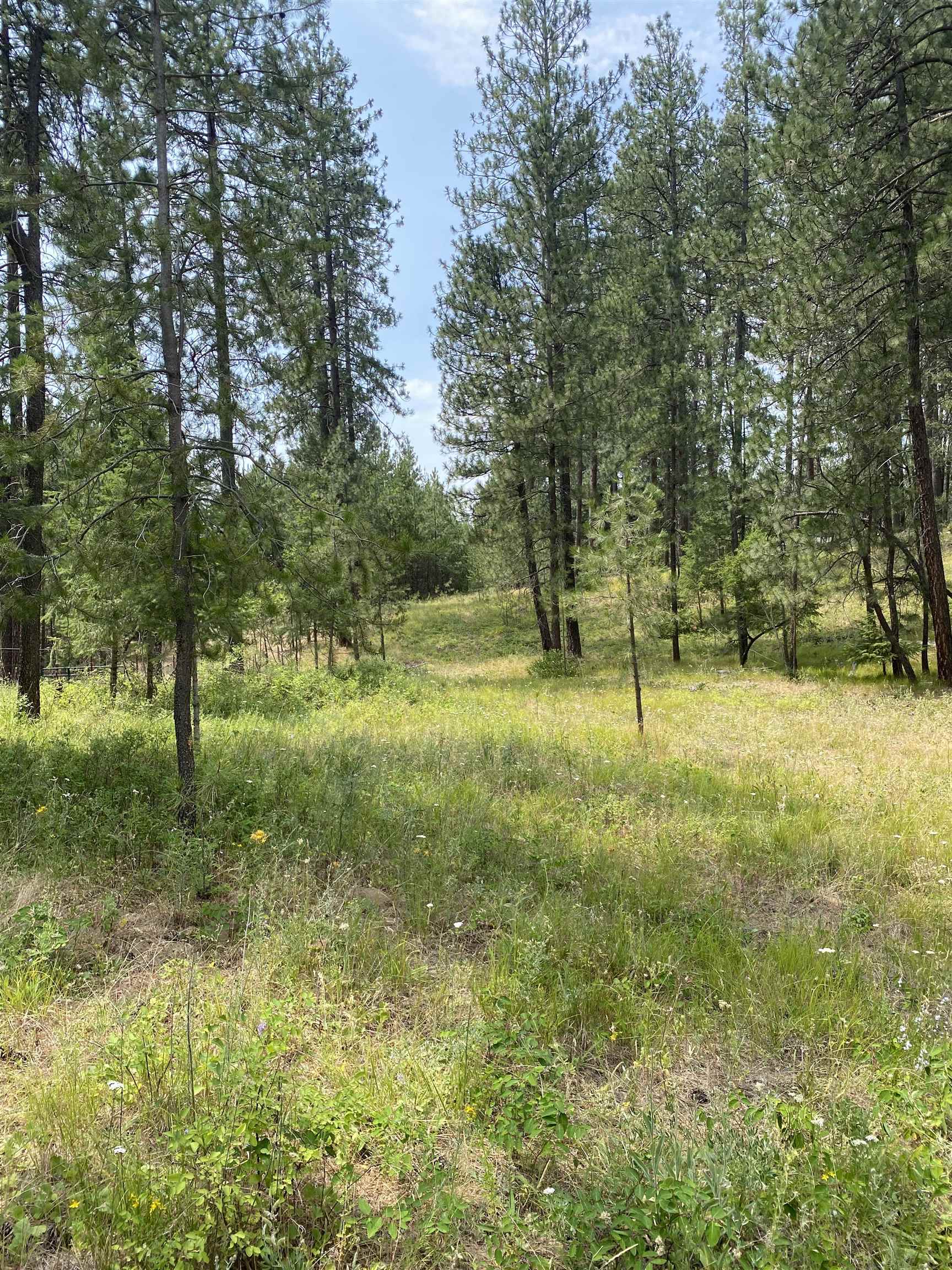XXXXX E Elk-Chattaroy Rd - Photo 2