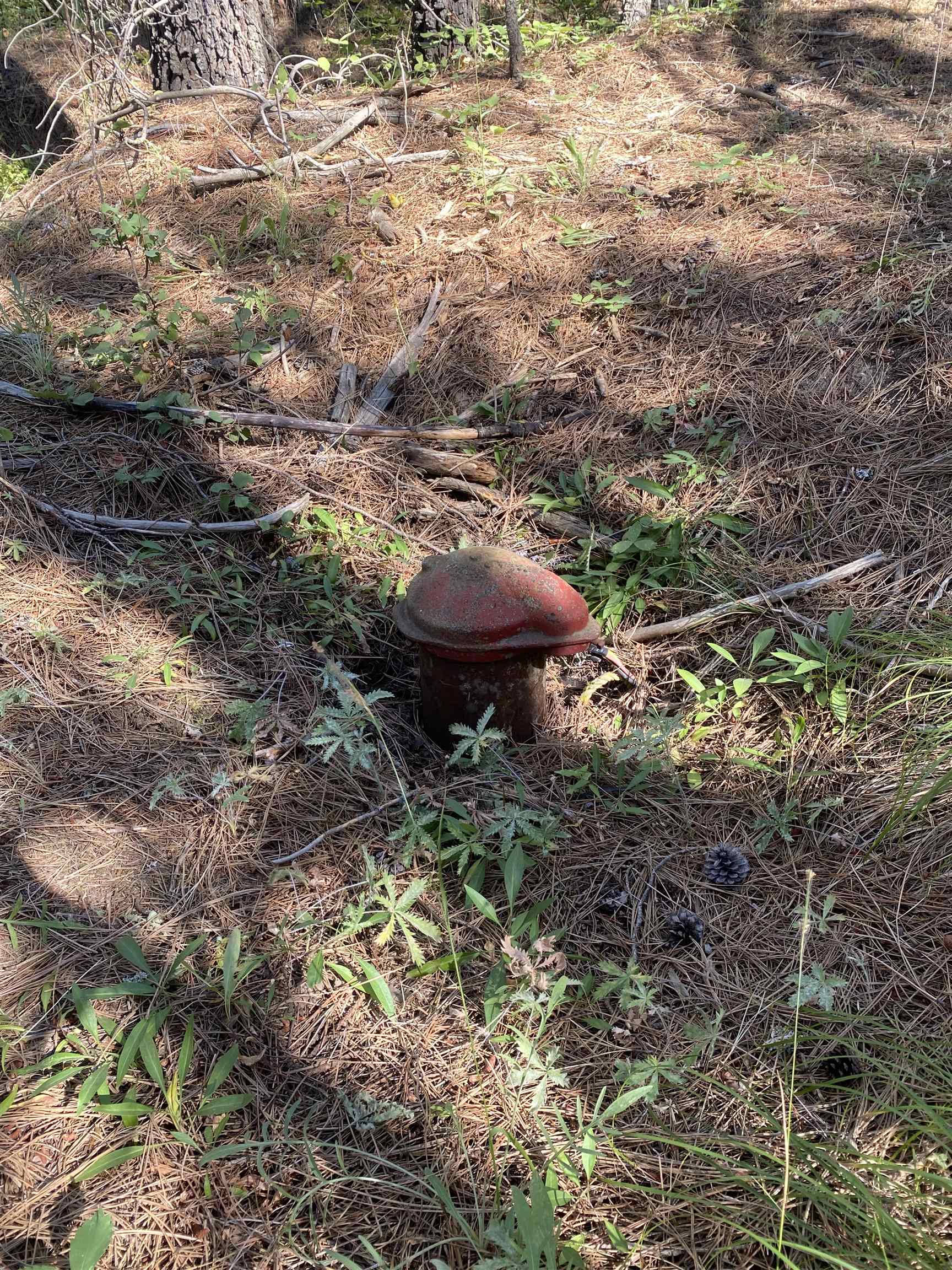 XXXXX E Elk-Chattaroy Rd - Photo 6