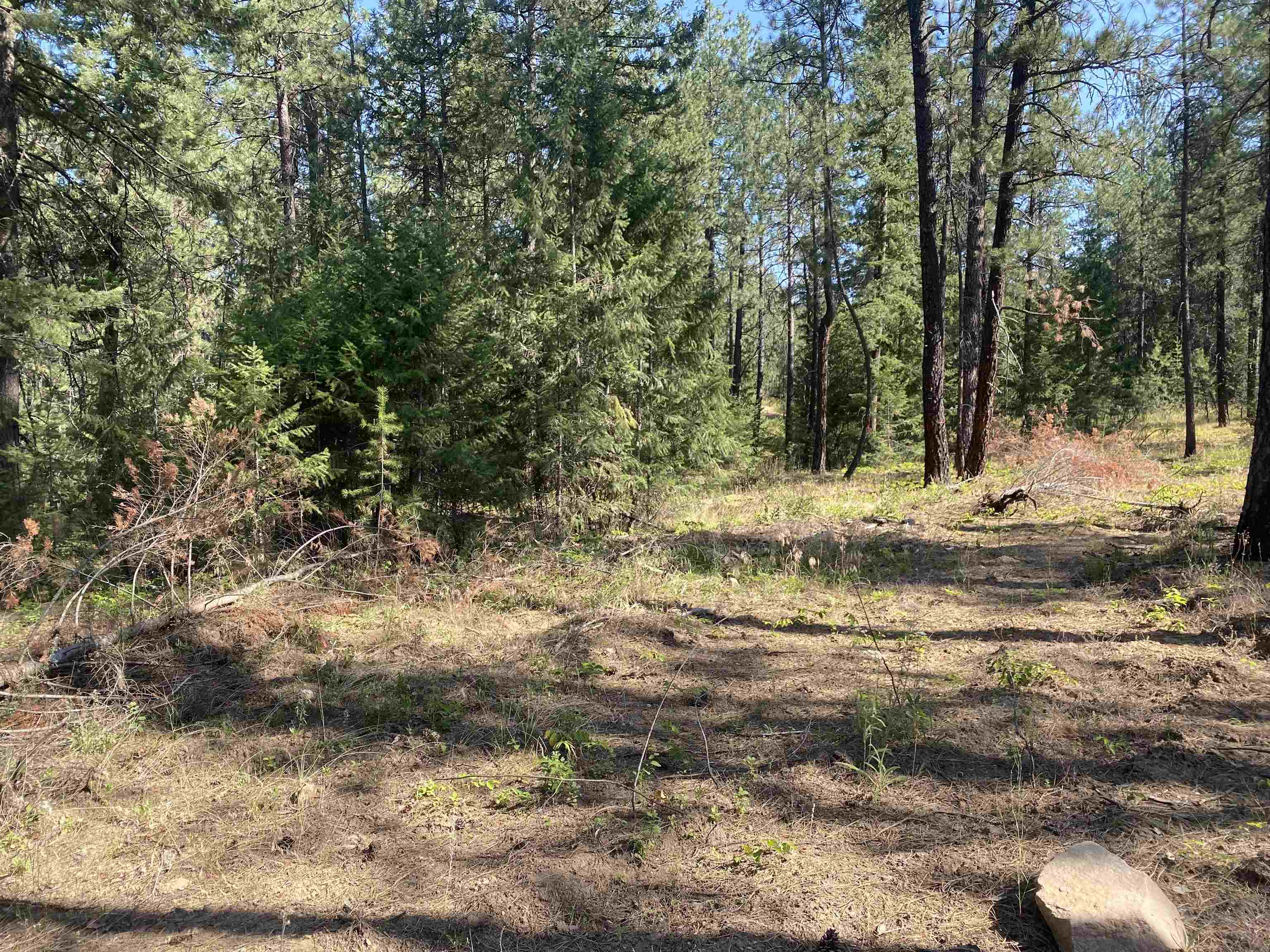 XXXXX E Elk-Chattaroy Rd - Photo 8